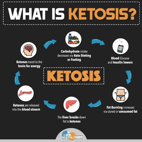 What is Ketosis.jpg