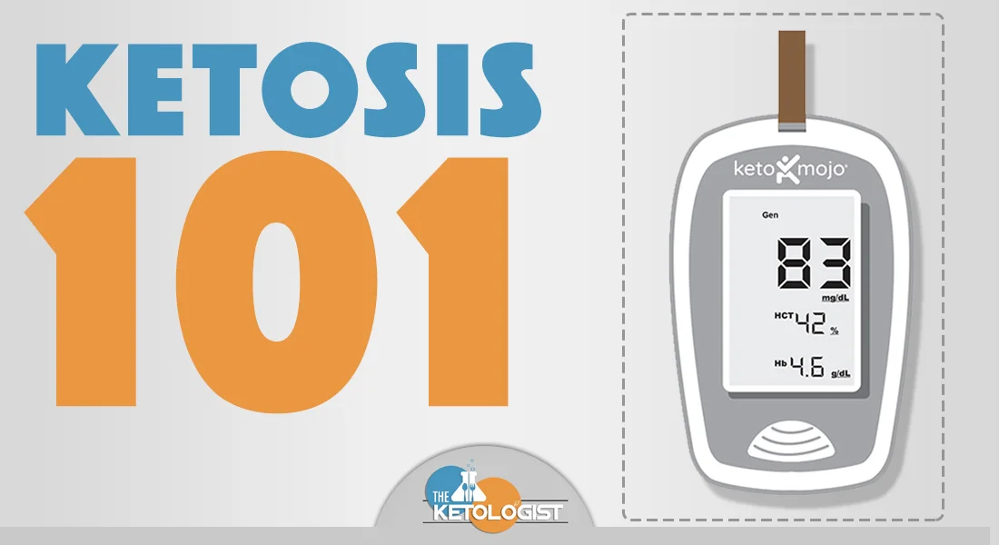 Ketosis 101 Banner.jpg