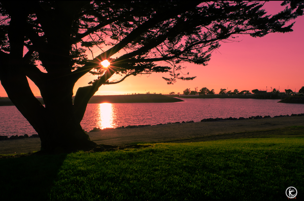 ManuOkai Photography Marina Sunset Life sun shining between tree with pastel coloured sky and green grass