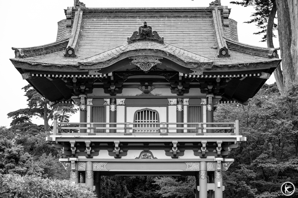 ManuOkai Photography Nature vs Zukuri Japanese zukuri black & white photography