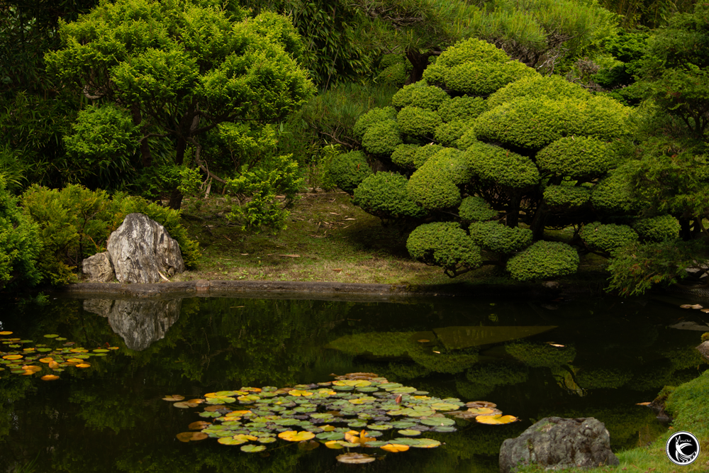 ManuOkai Photography Serenity Japanese Garden lily pond