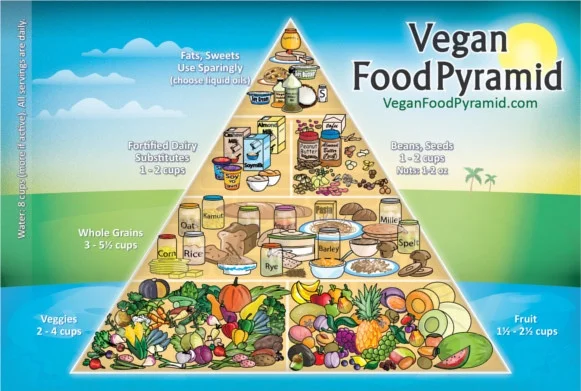 Vegan Food Pyramid vegan-food-pyramid-31.jpg