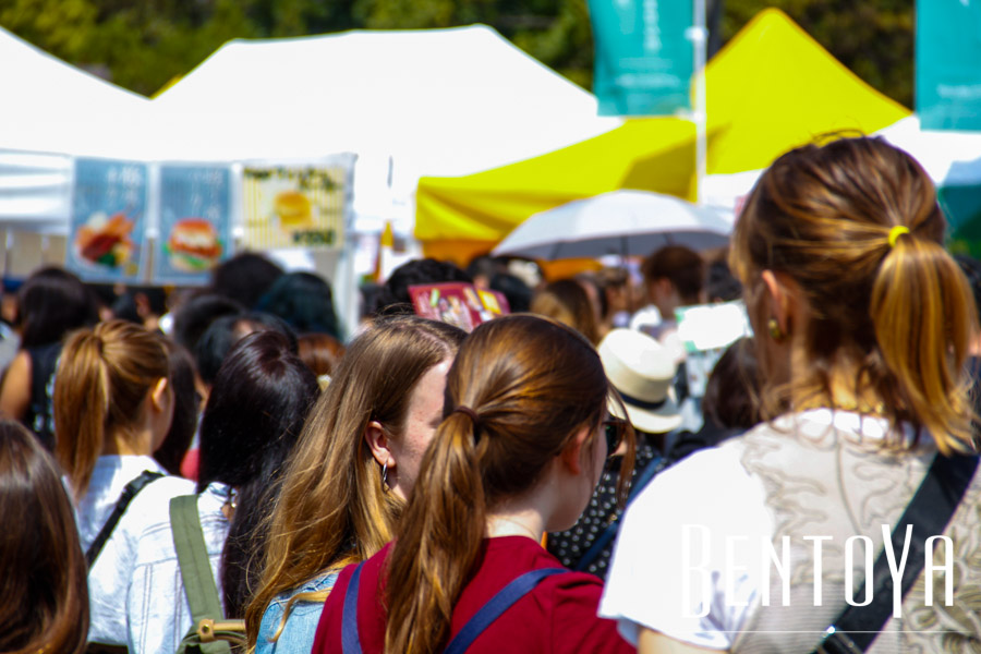 Vegan Gourmet Festival Cheesecake Mikawa Mirin Collaboration-15.jpg