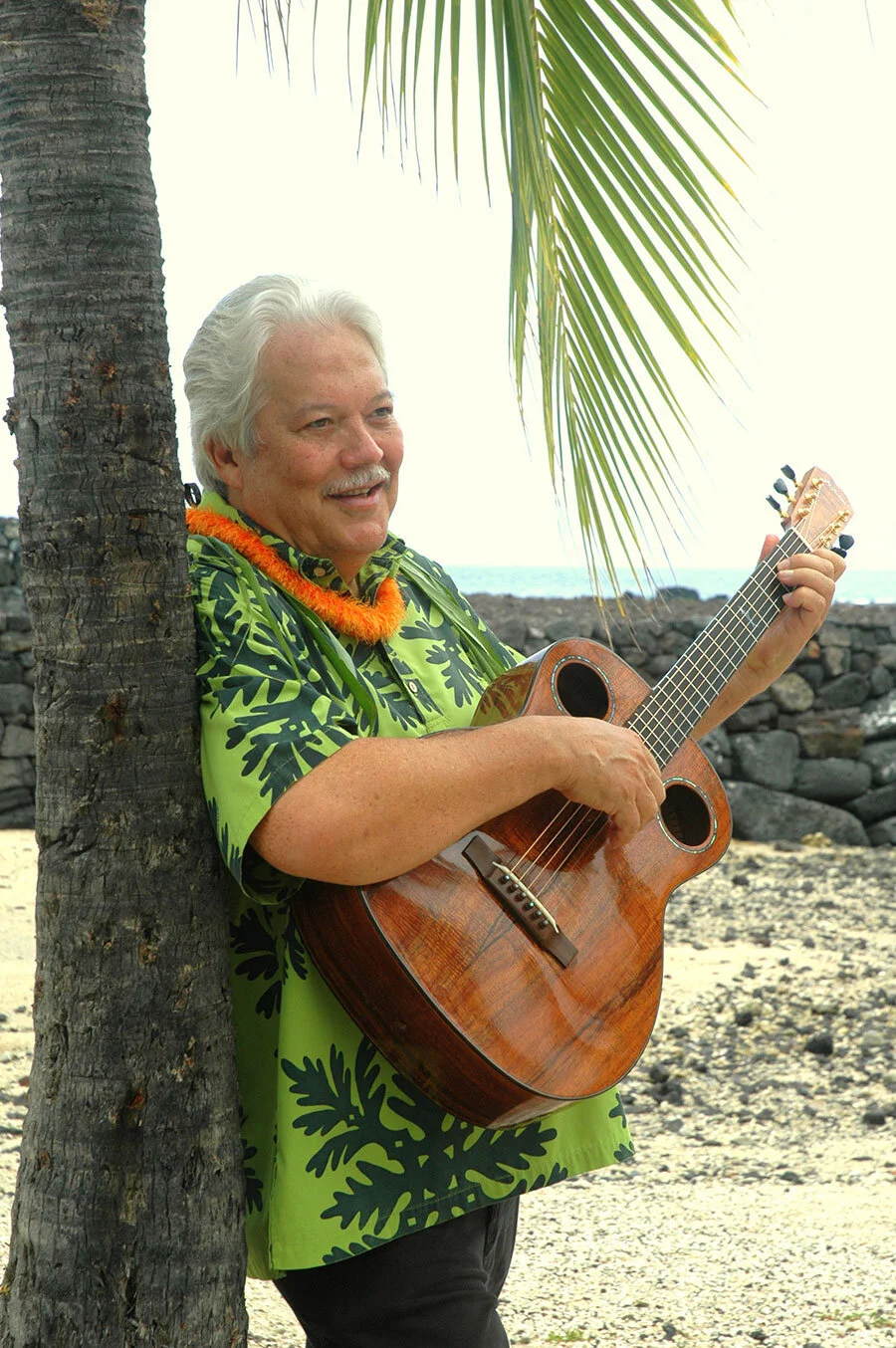 The Artist 2 Artist Concert Series Features Keola Beamer