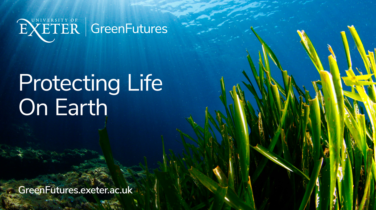 Green Futures: nurturing hope through poetry