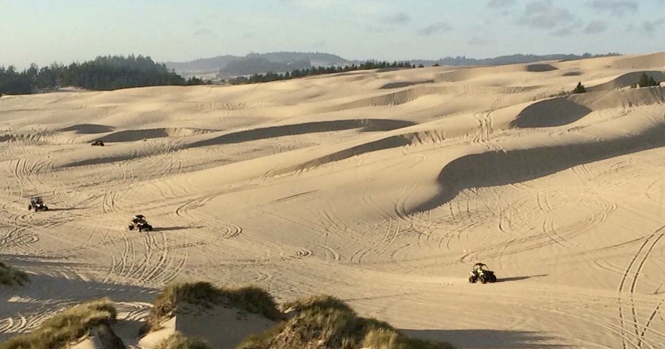 spinreel dunes