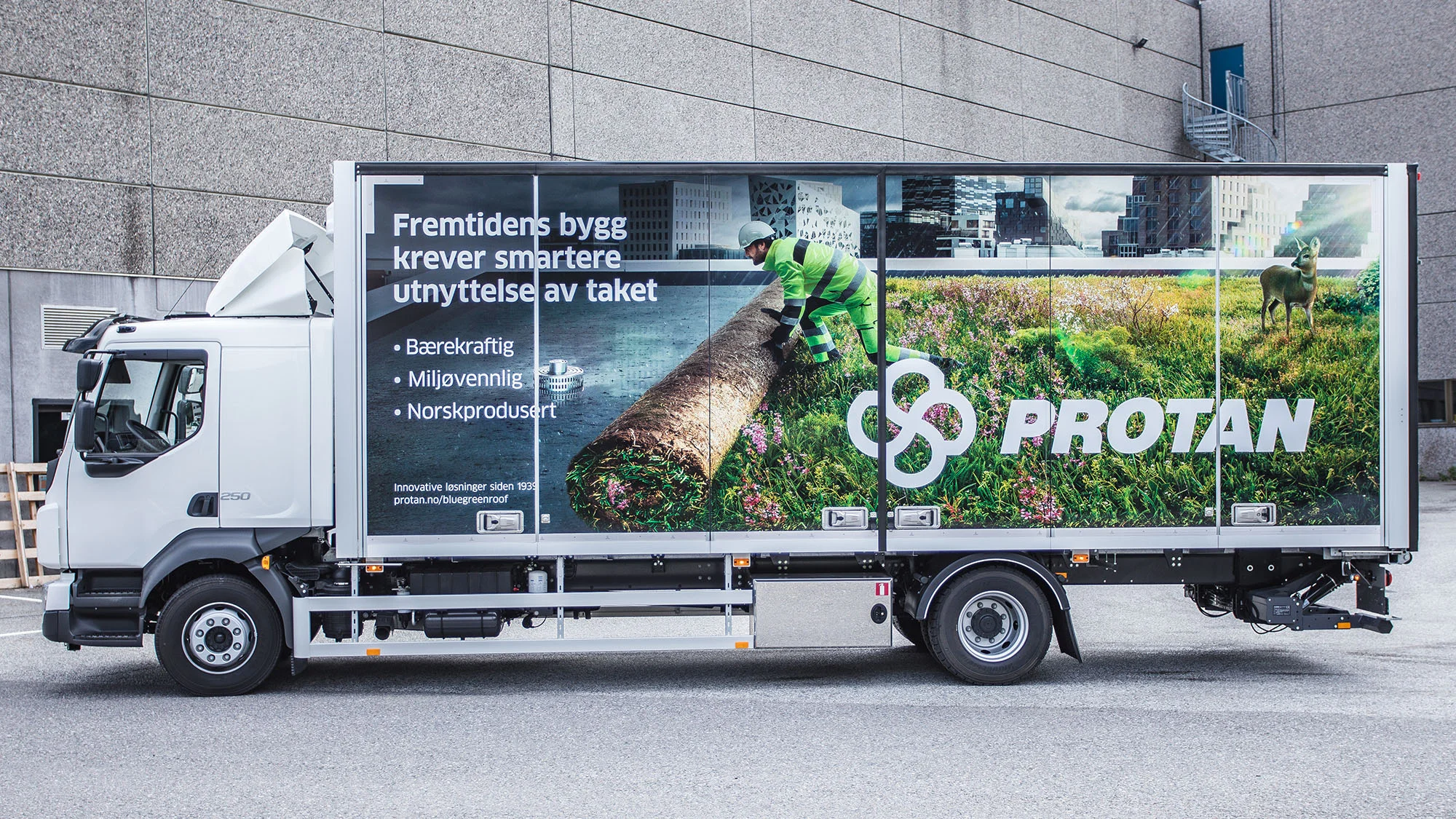 Protan