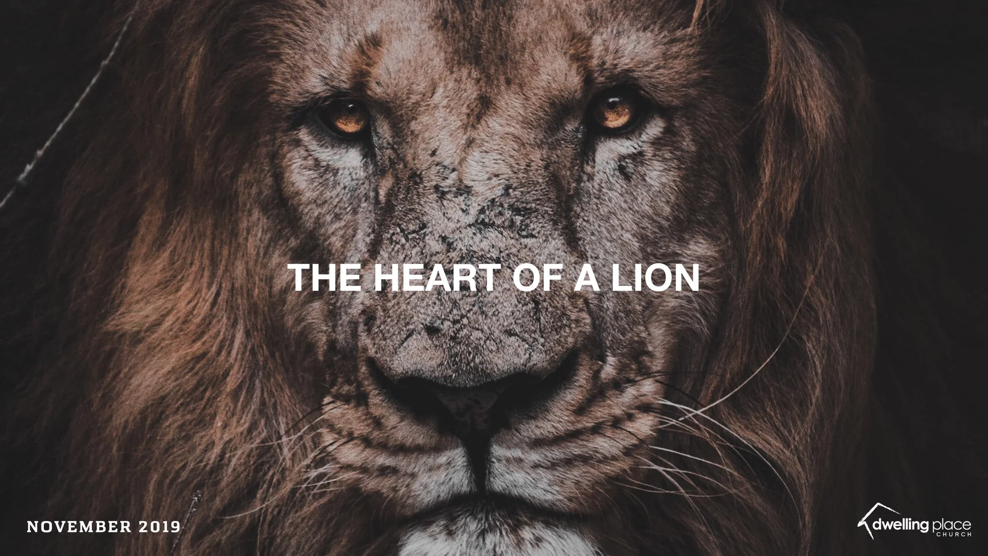 The Heart of a Lion