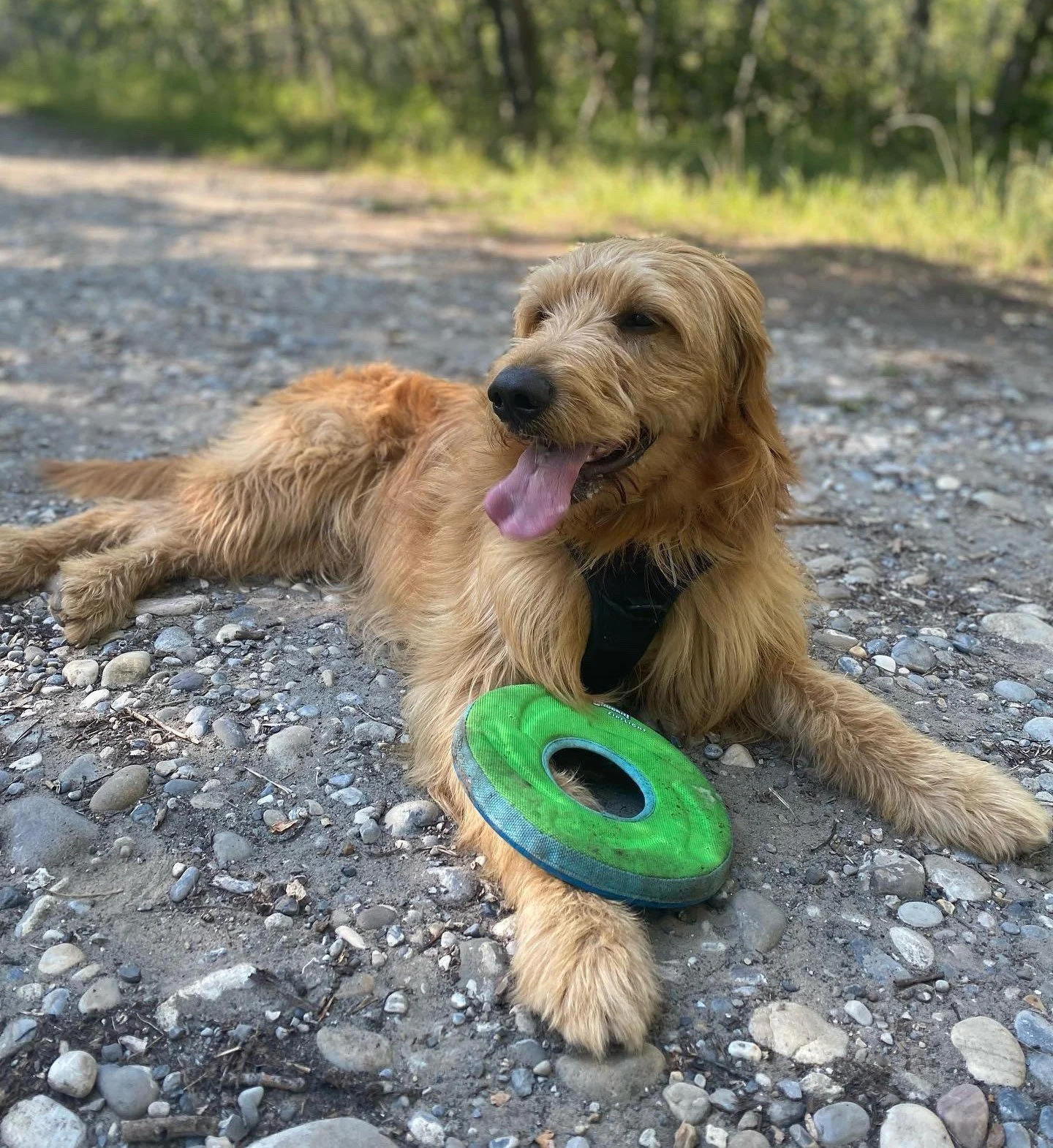 Hudson - Training Client