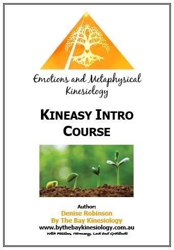 Kineasy-Intro-Course-Manual-Cover-Page_JUNE-2019.jpg