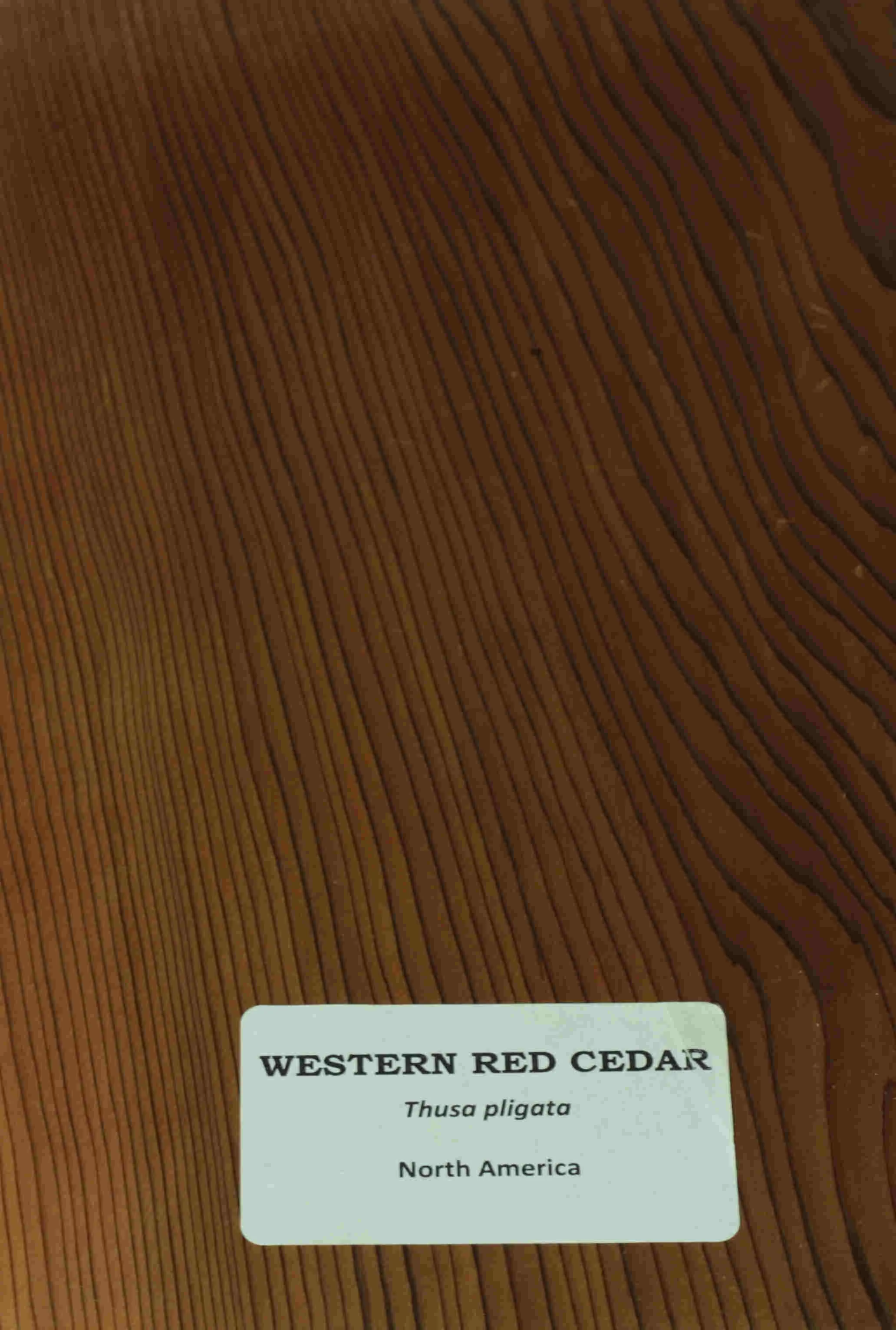 Recycled Timber — Monaro Timber Canberra's Leading Timber Experts