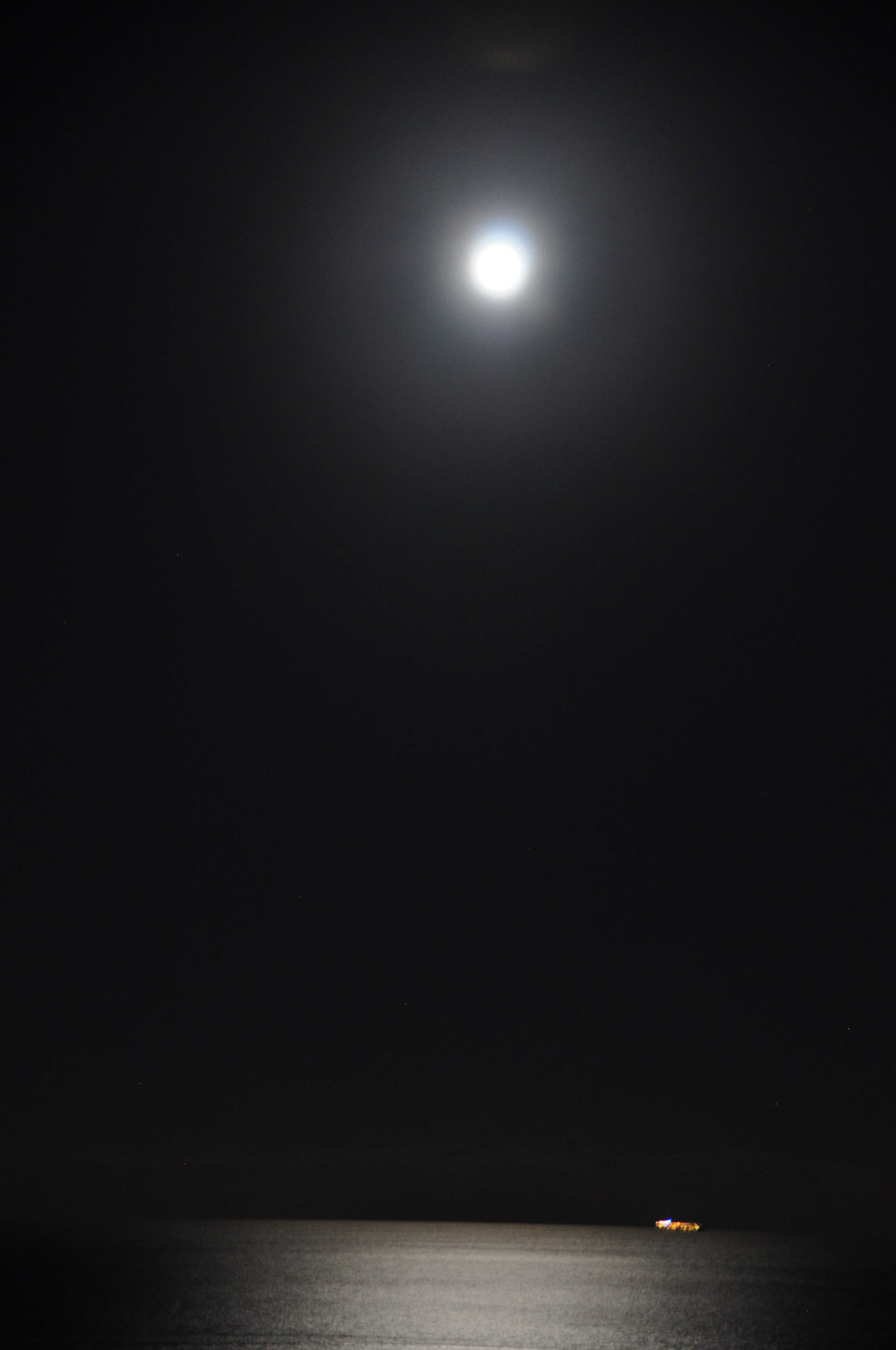 DSC_0920.JPG