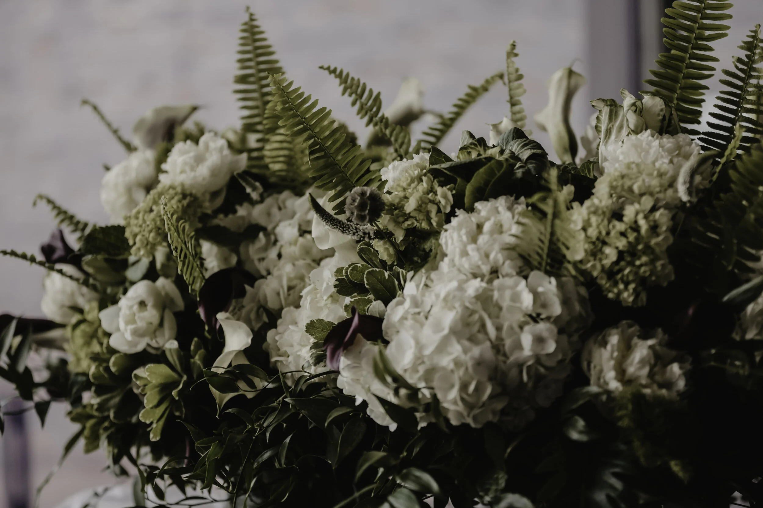 644A0554edit1.jpg