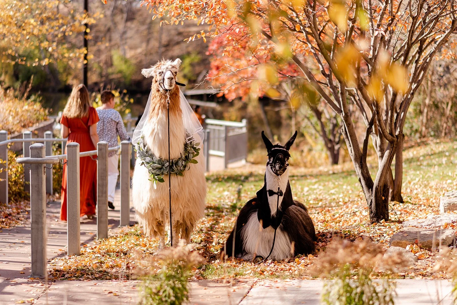 TIPS FOR ELEVATING YOUR GUESTS EXPIERENCE AT YOUR WEDDING 