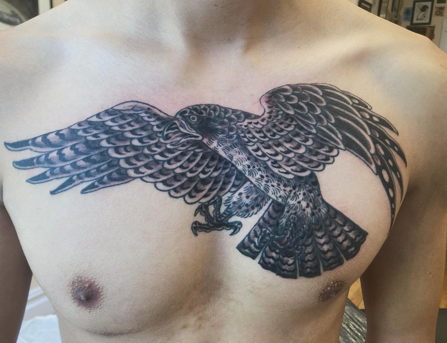Shaded this falcon @namebrandtattoo today. Good to see you Mateo!
