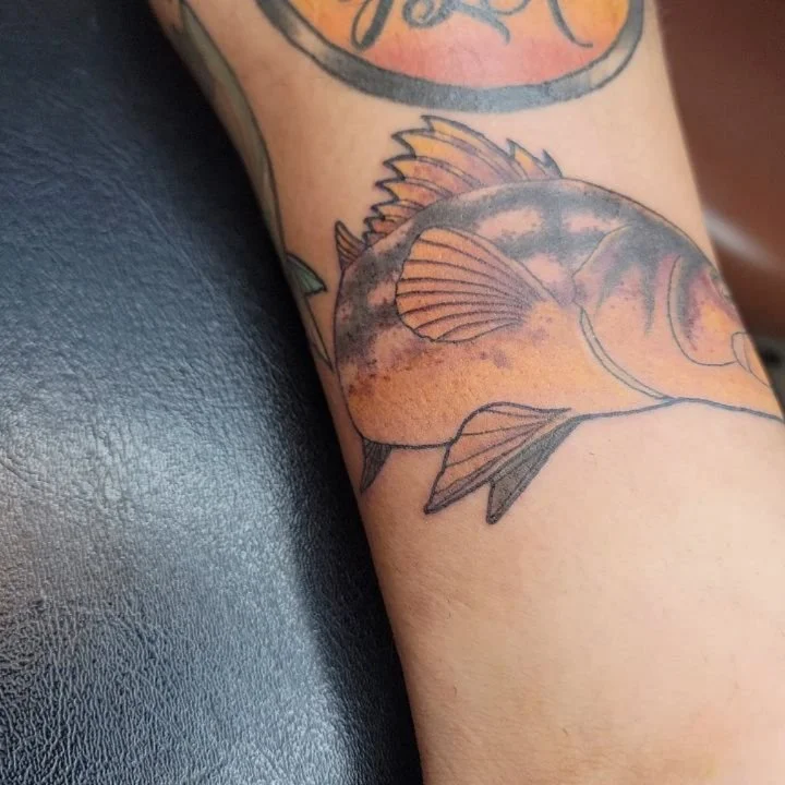 Calico x squid wrapper for John