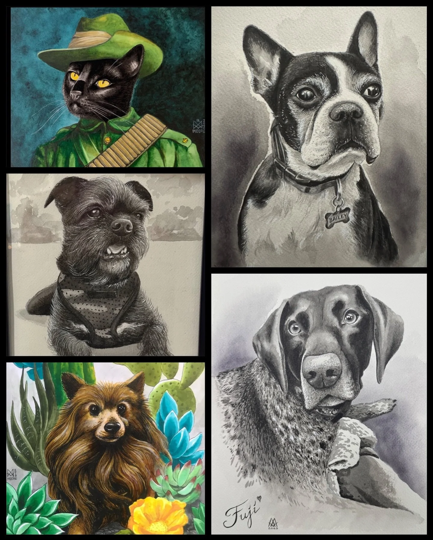 Here are some pet portraits I&rsquo;ve painted. Lots more are lurking on the phone. If anyone is interested in getting one ,of your special beast (any species, setting, background etc) feel free to DM/message me . Priced for most budgets. #andrewmoor