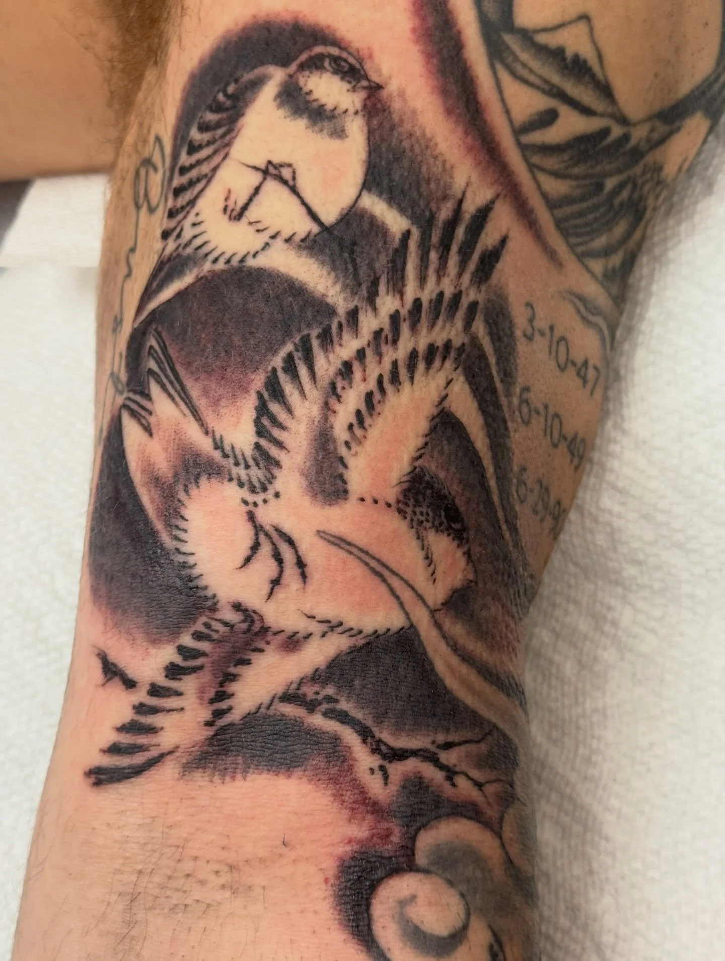 Birds and landscapes added around some preexisting tattoos. Thanks @jordangaffney  for letting me run with this! @shoguntattoo #shoguntattoo #shoguntattoopasadena