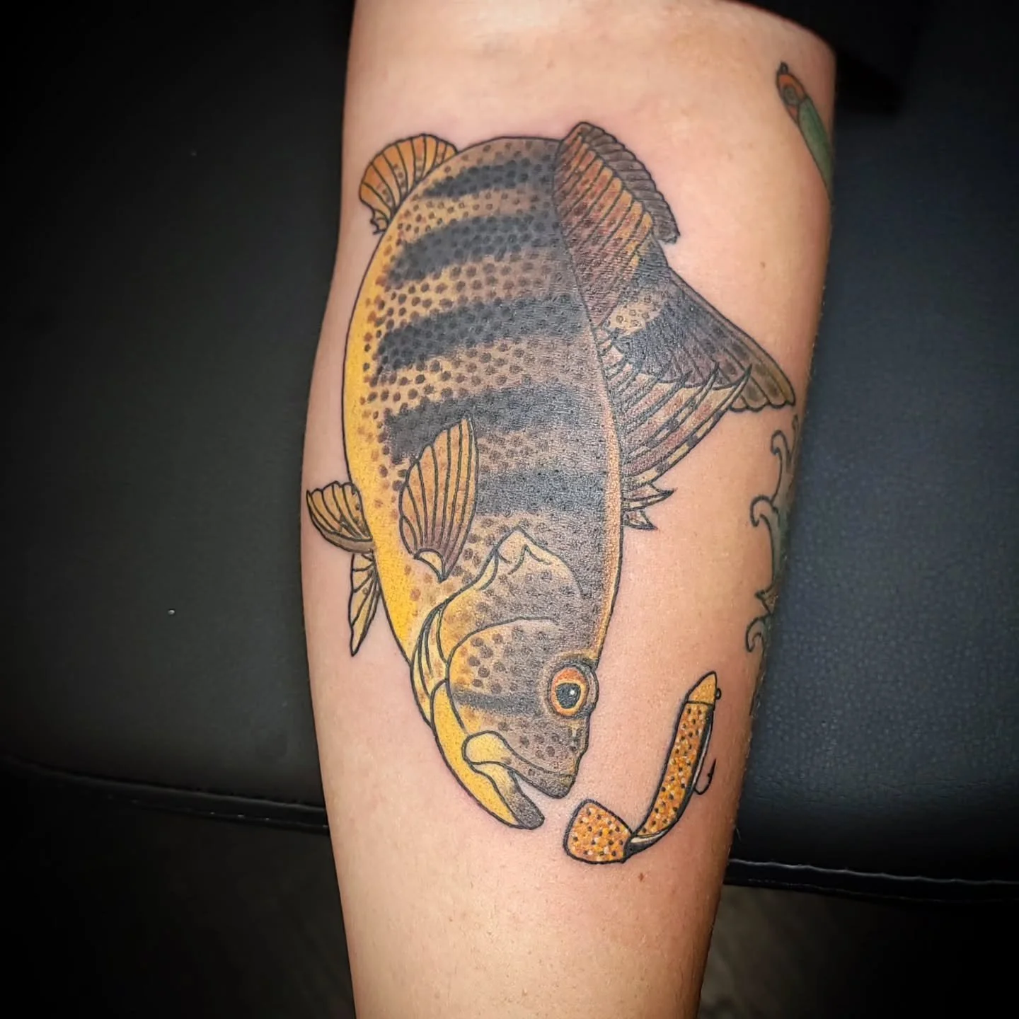 Thank you San Diego and @outdoortraditionstattoo  I'll be back in November. DM to book
