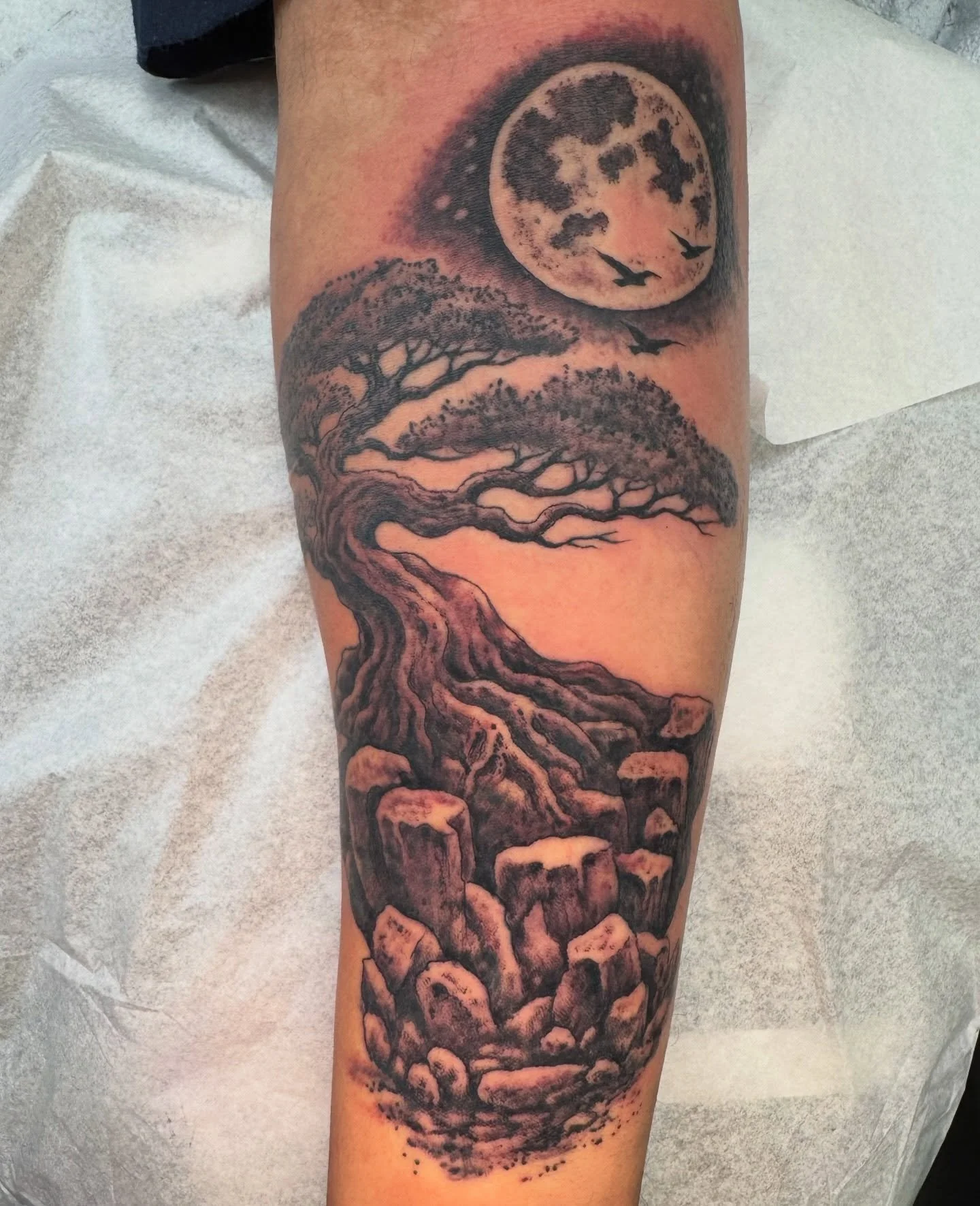 1st tattoo for Anthony. Trees are always welcome. #shoguntattoo #shoguntattoopasadena