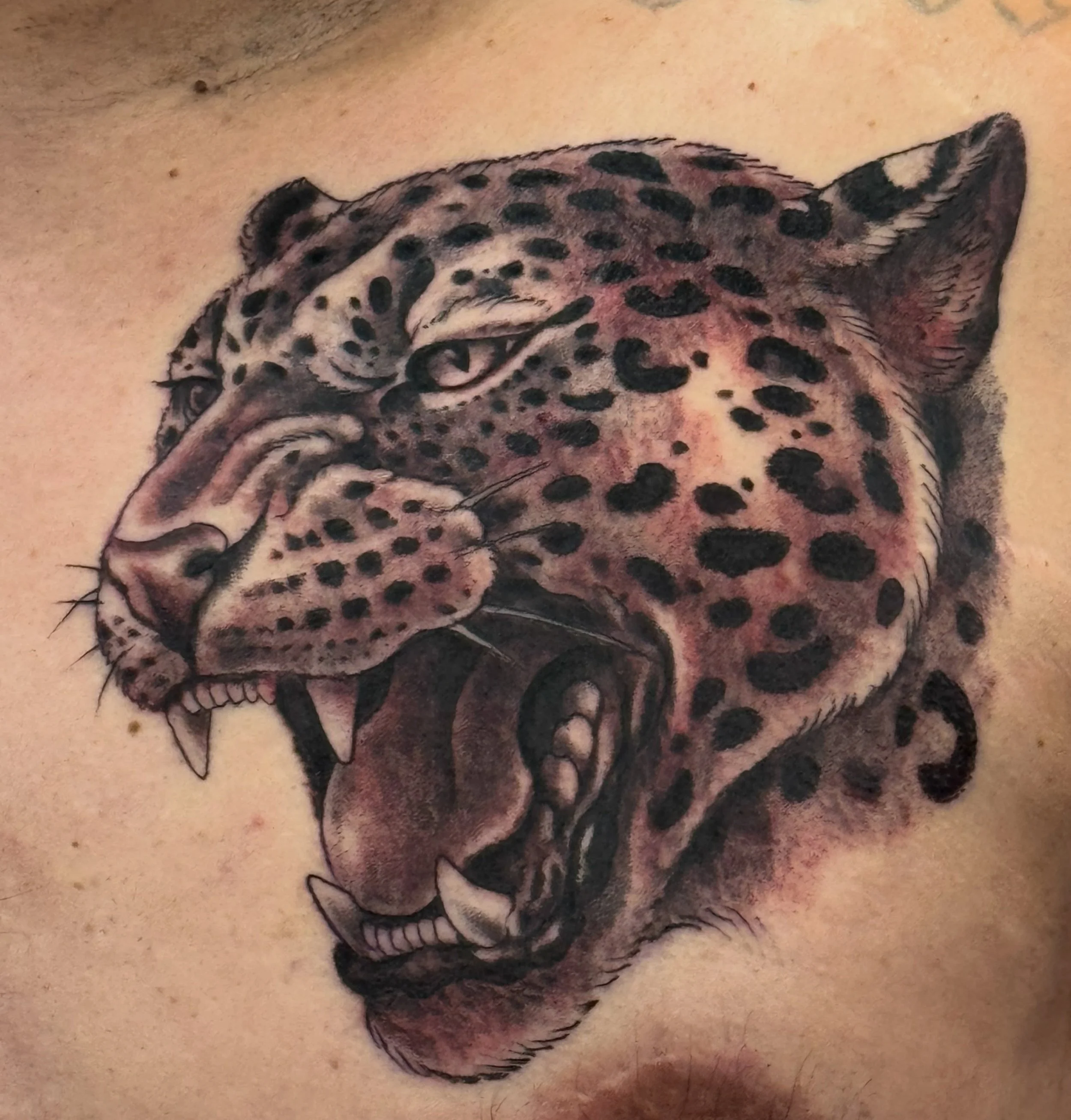 Fresh one for Jose &amp; a cool back piece we did a few years back. @joserjordan  more to come ! #shoguntattoo #shoguntattoopasadena