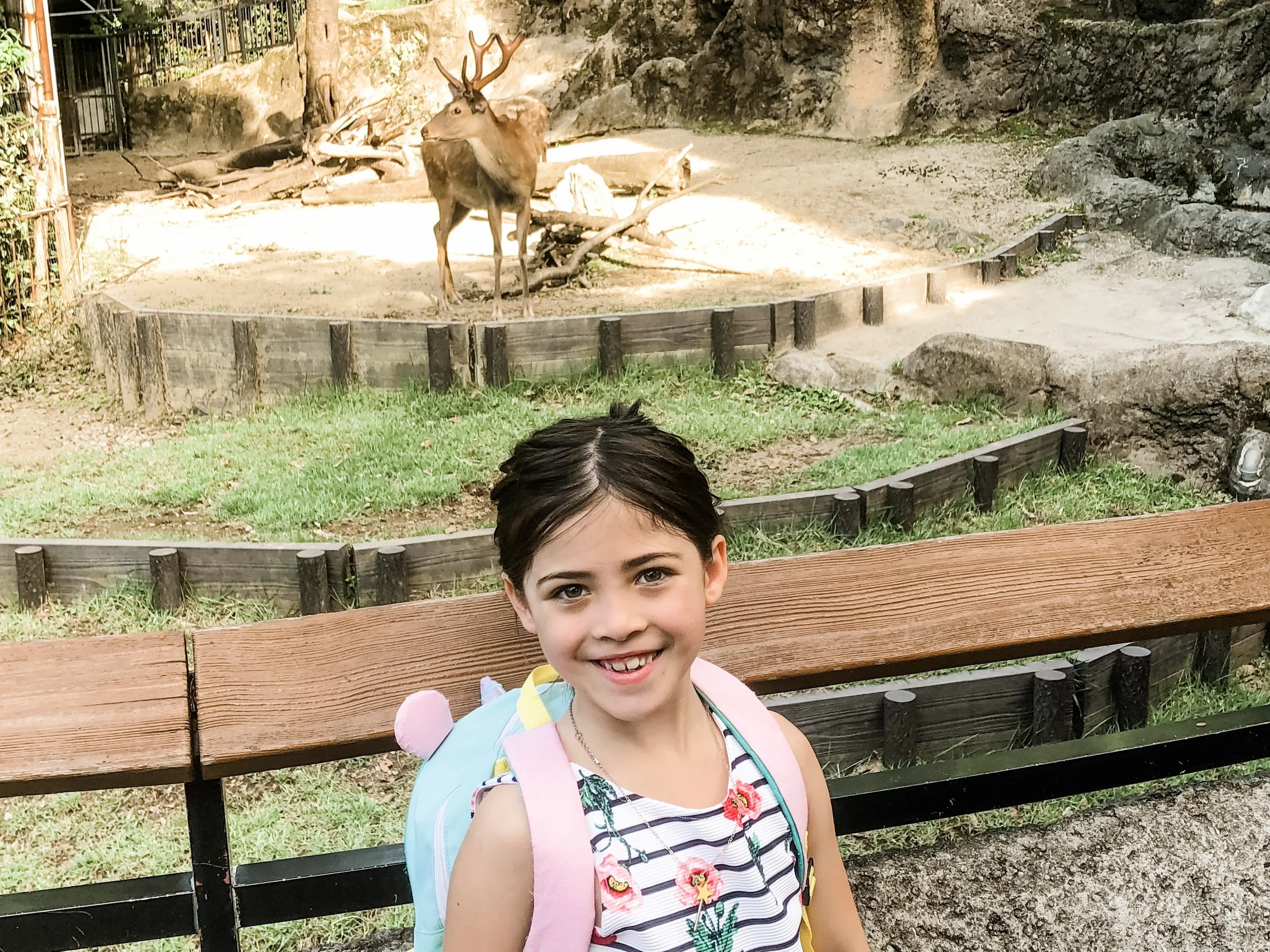 things-to-do-in-tokyo-for-kids-ueno-zoo.jpeg