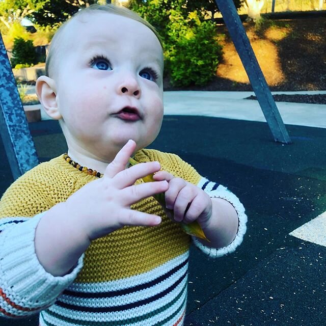 Thinking about how many swings to have at the park.
#cheekybubba #handsomeman #parklife #riverwalk #ipswich #bremerriver