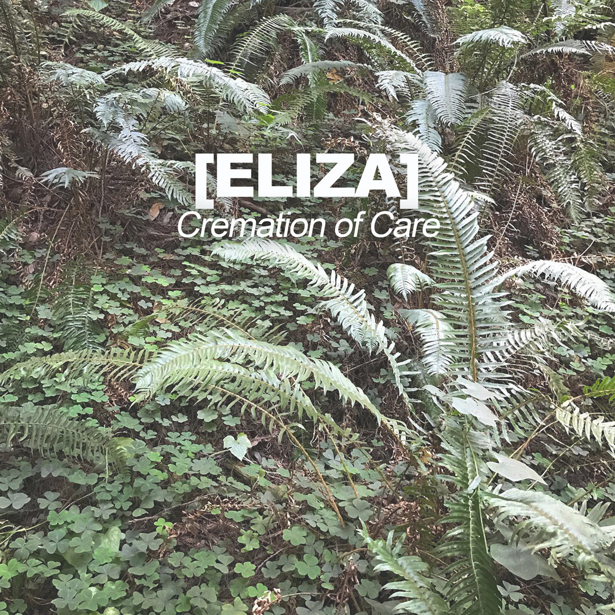 [Eliza] - Cremation of Care