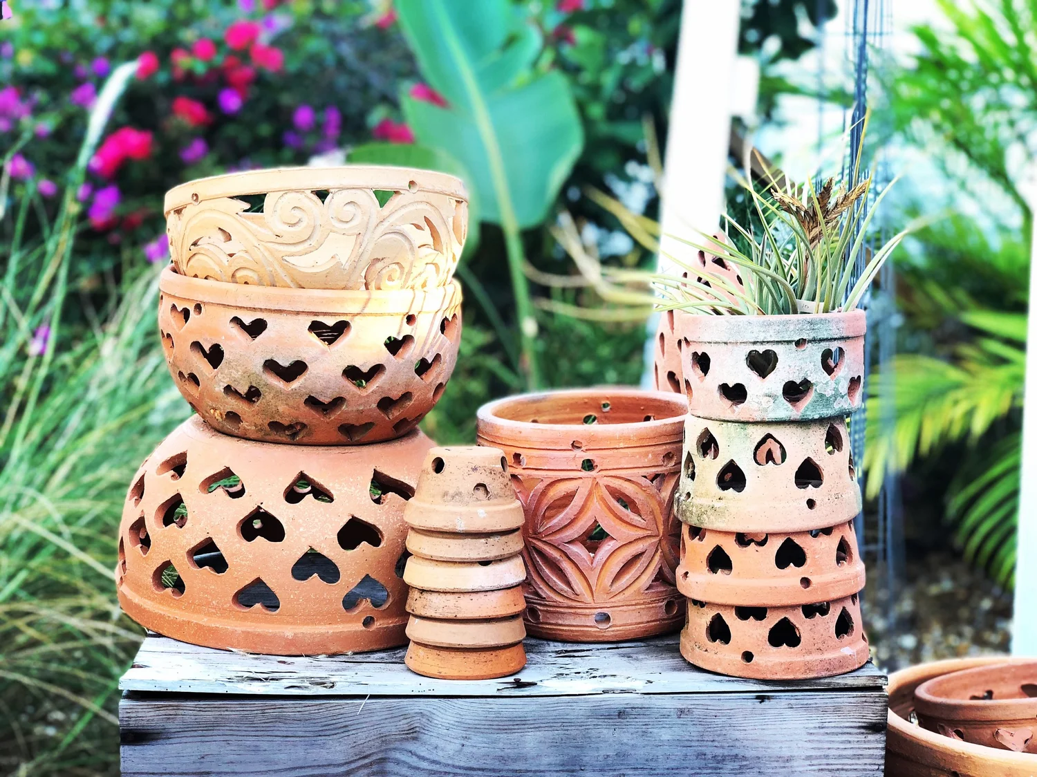 Lattice Pots  boo kee sue BOTANICS