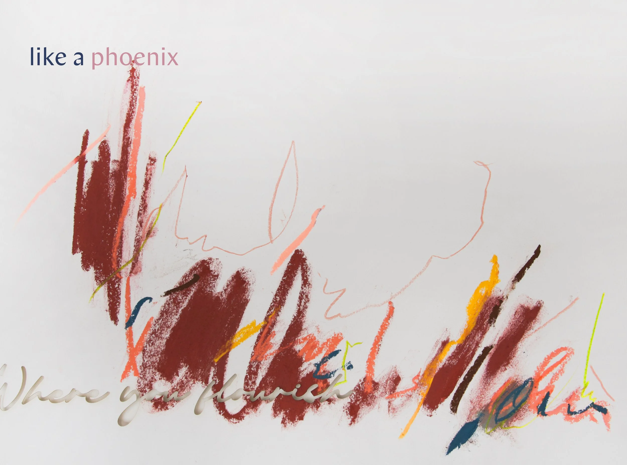 more. than. words. #6 (where you flourish...like a phoenix)