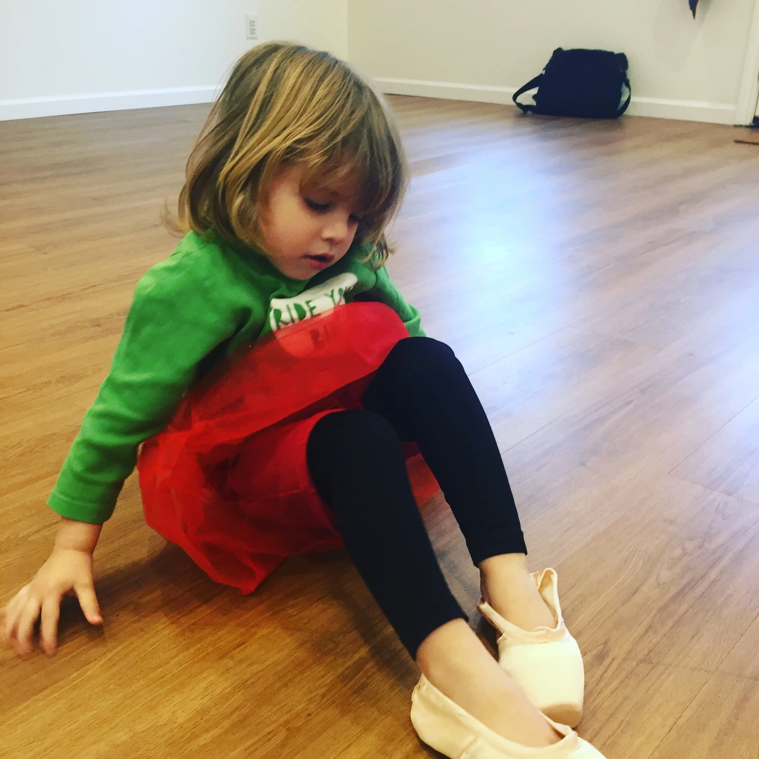 Boys Do Ballet: An Education and Introduction for All Ages
