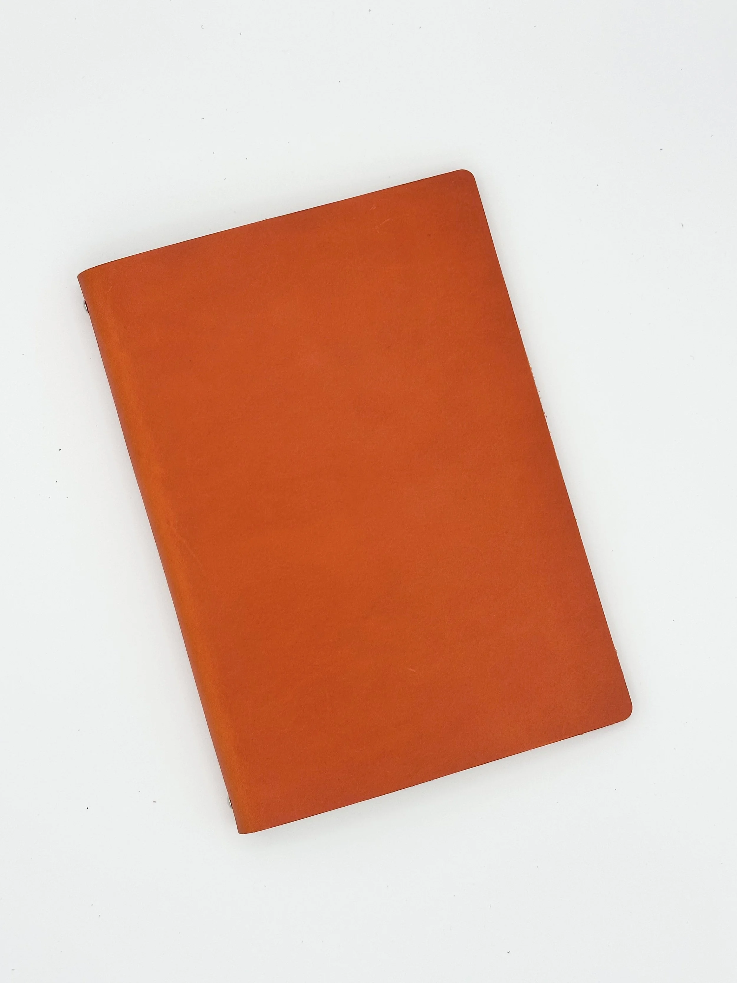 carrot_1-front.jpg