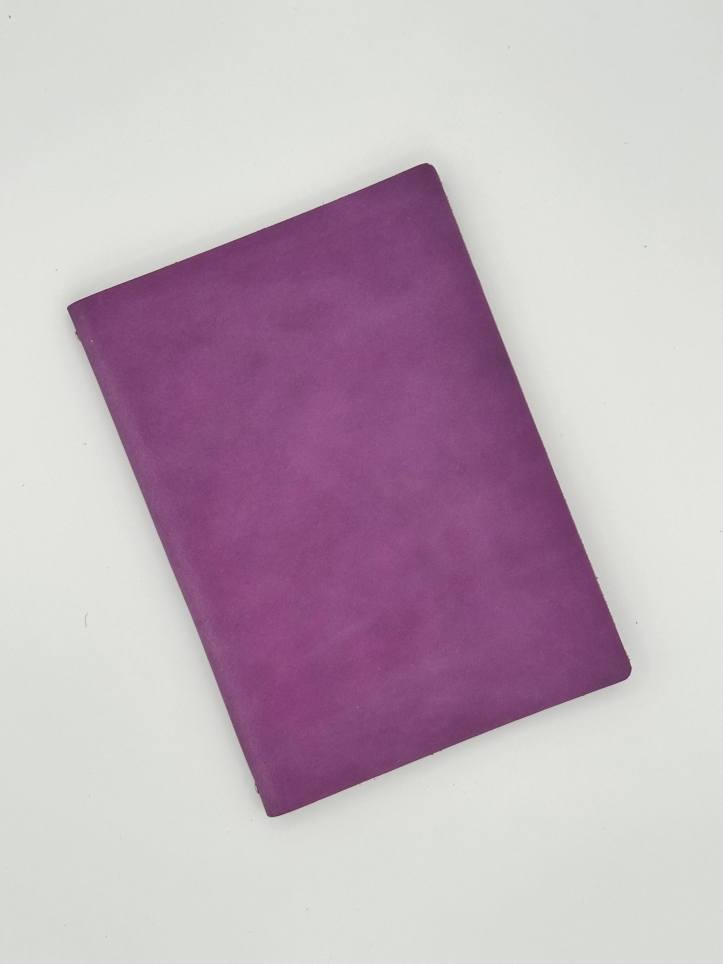 violet_1-front.jpg