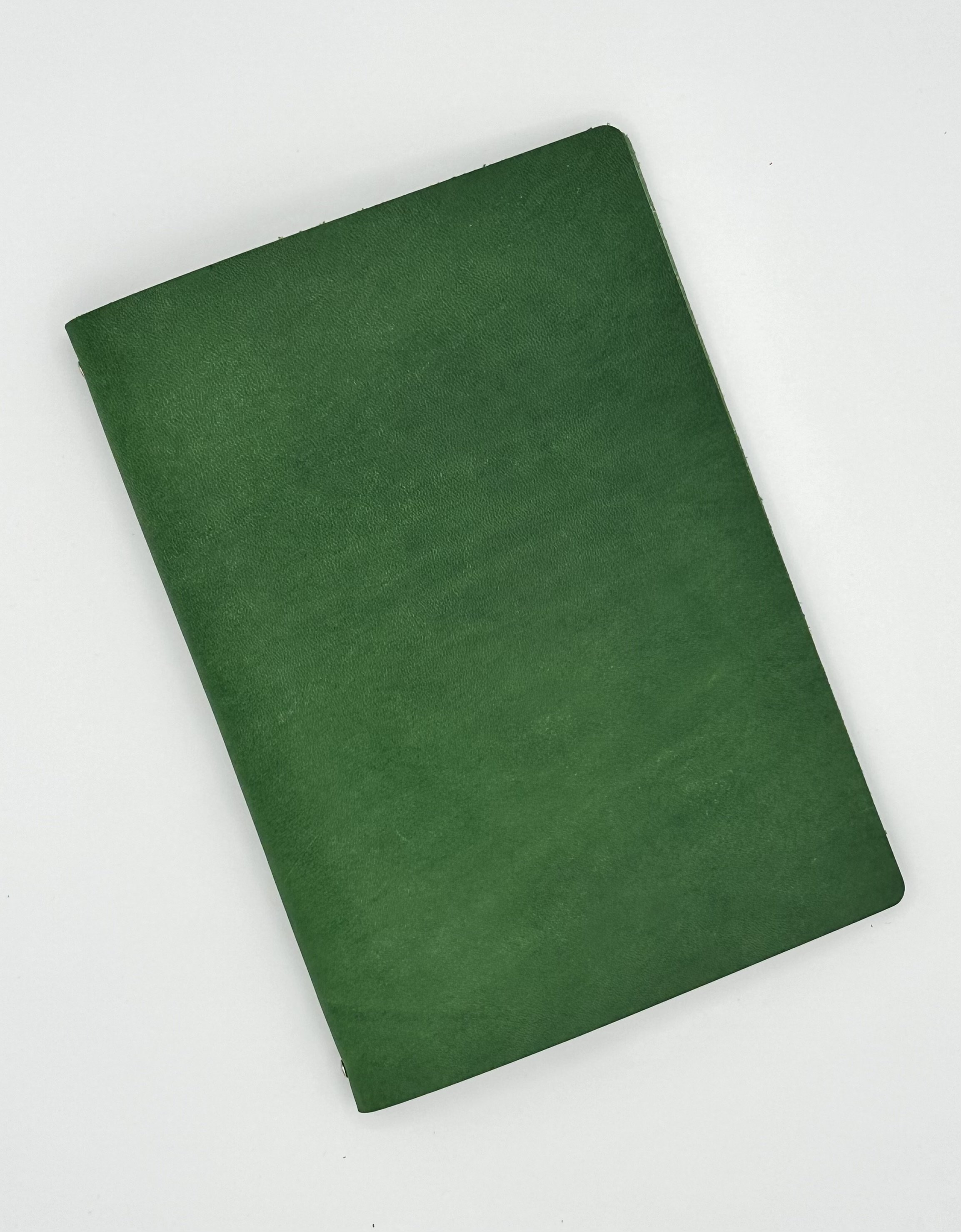 avocado_1-front.jpg