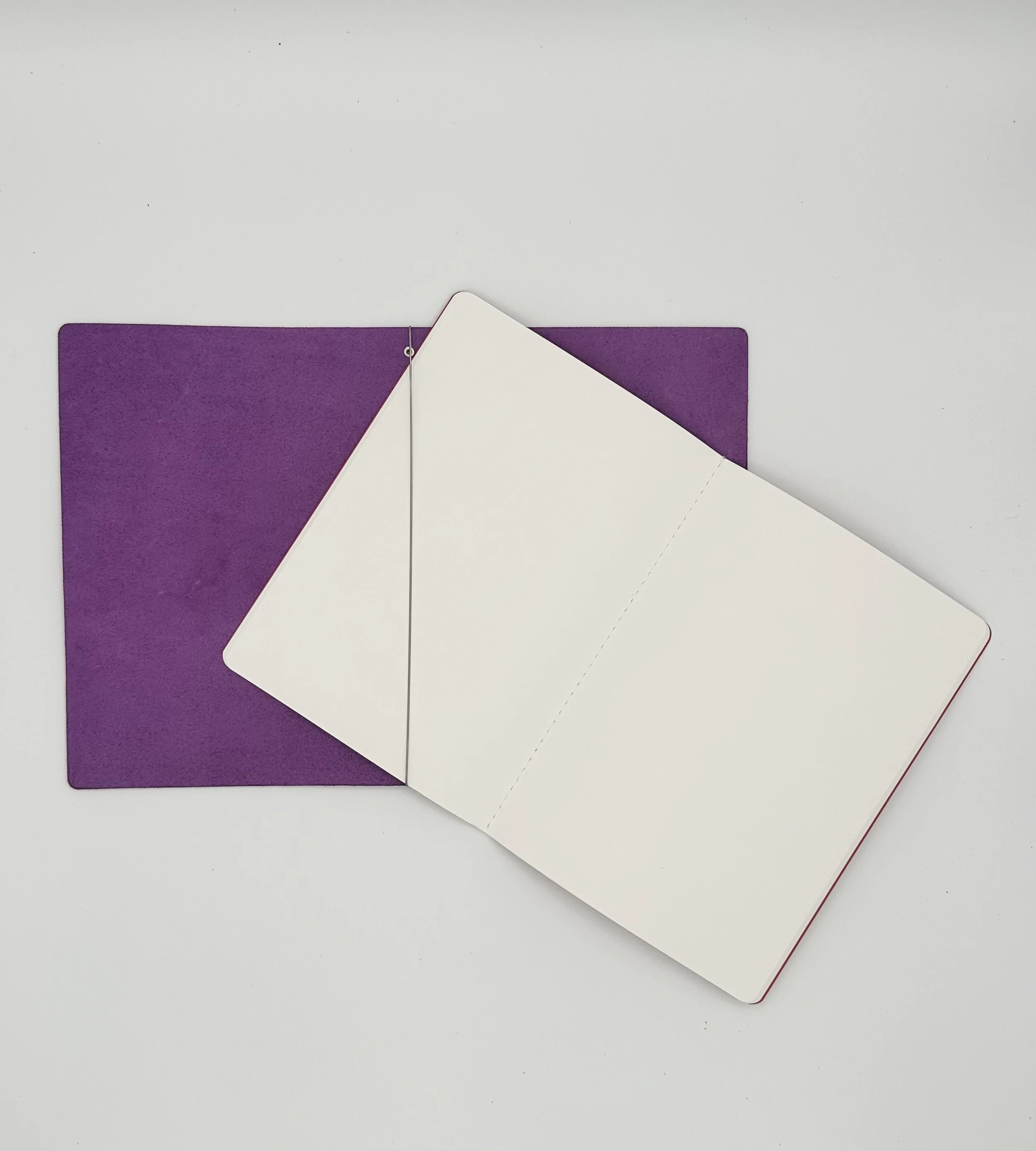 violet_4-slide.jpg