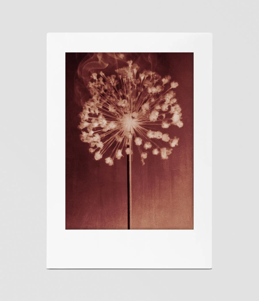 INCENSE CITY By ALLSAINTS