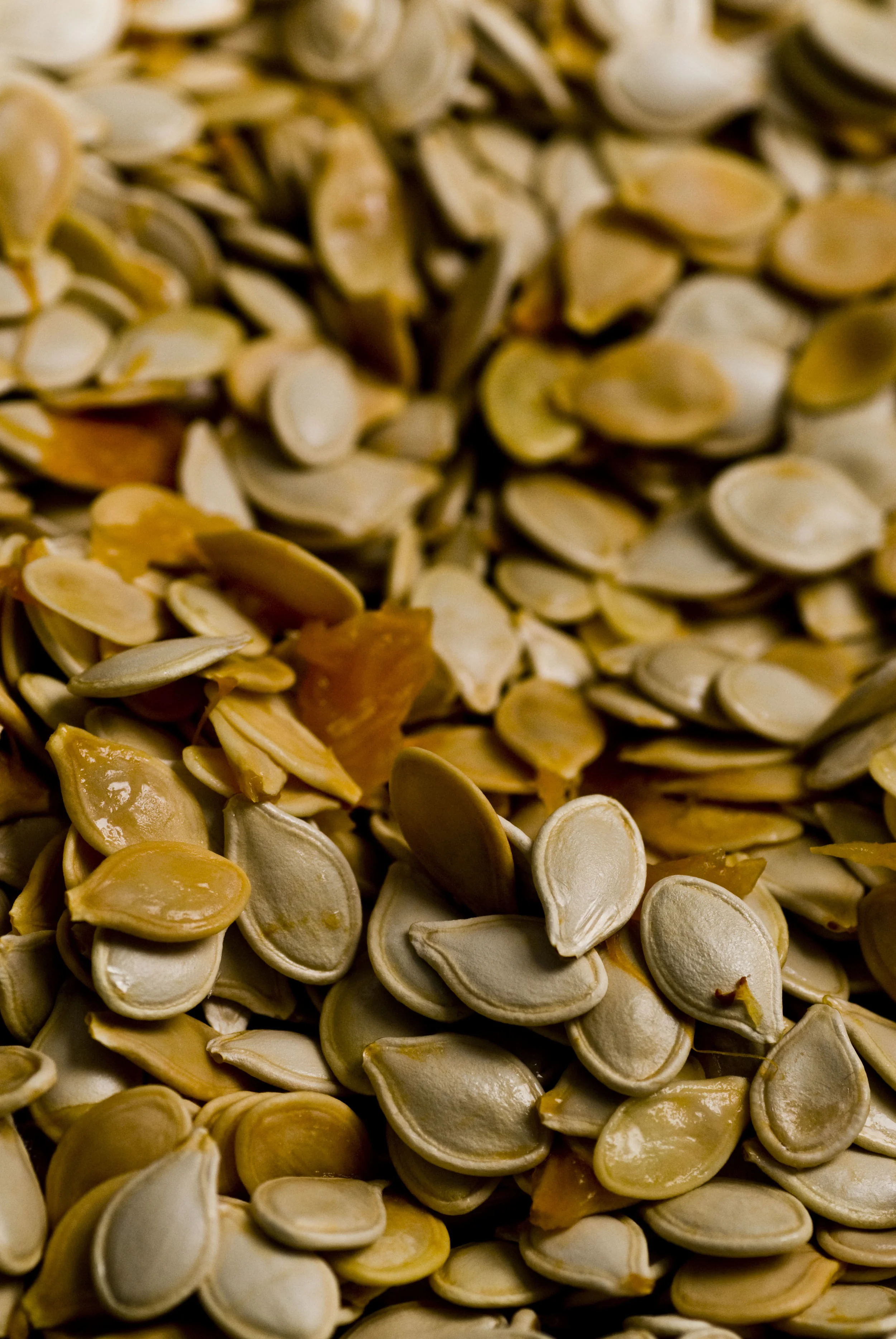 everythingseeds10.jpg