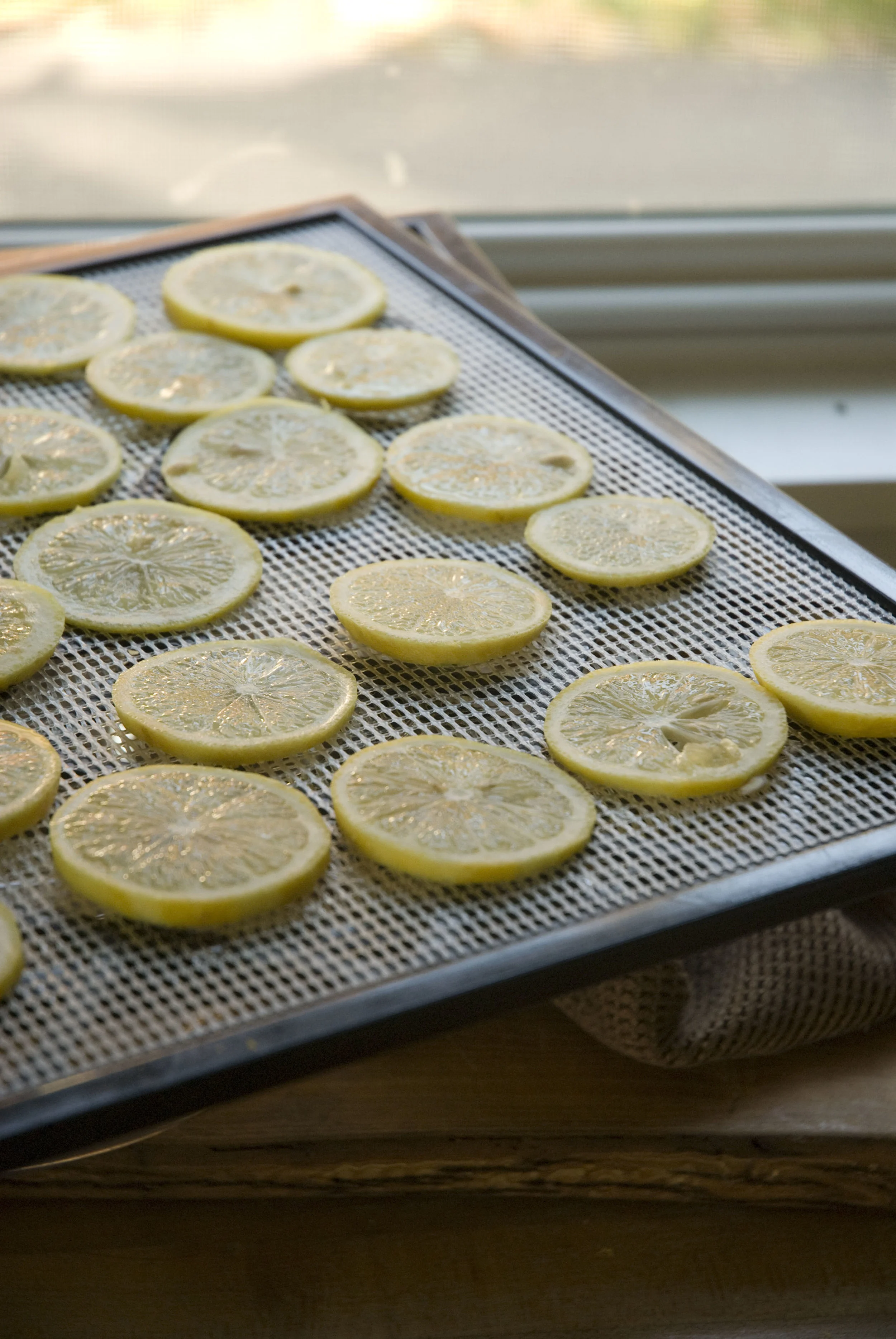 lemon3.jpg
