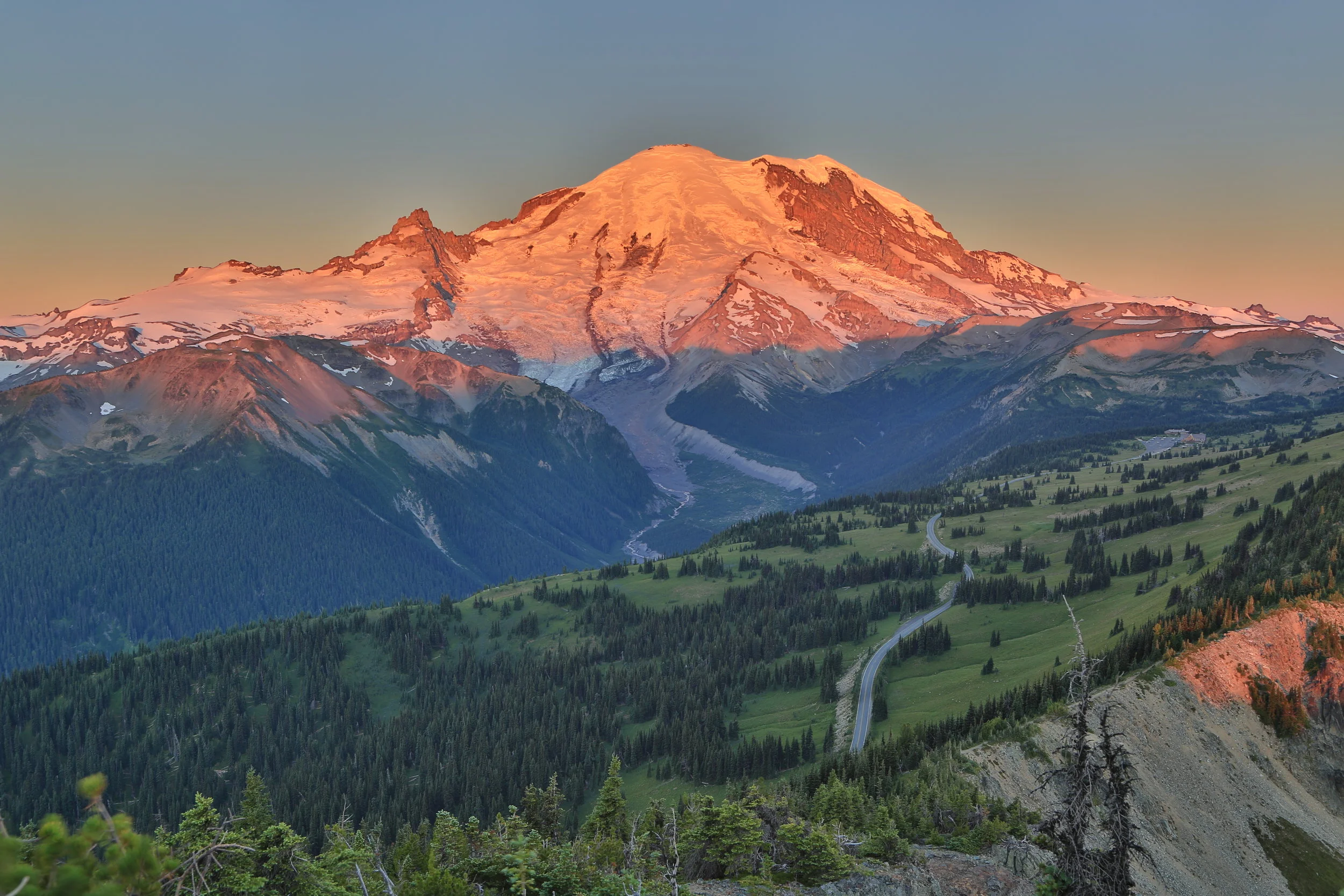 115A6981.JPG