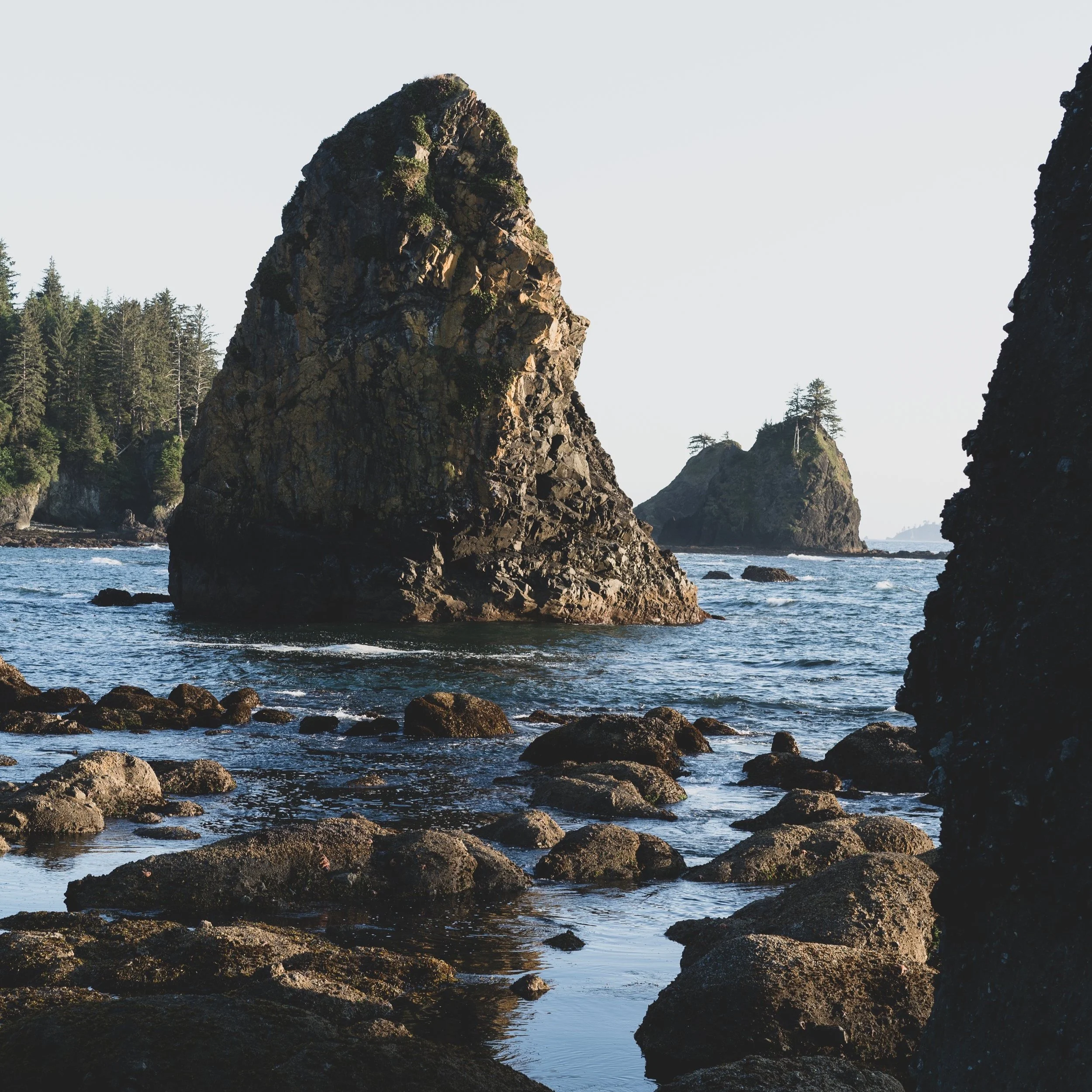 Shi Shi Beach