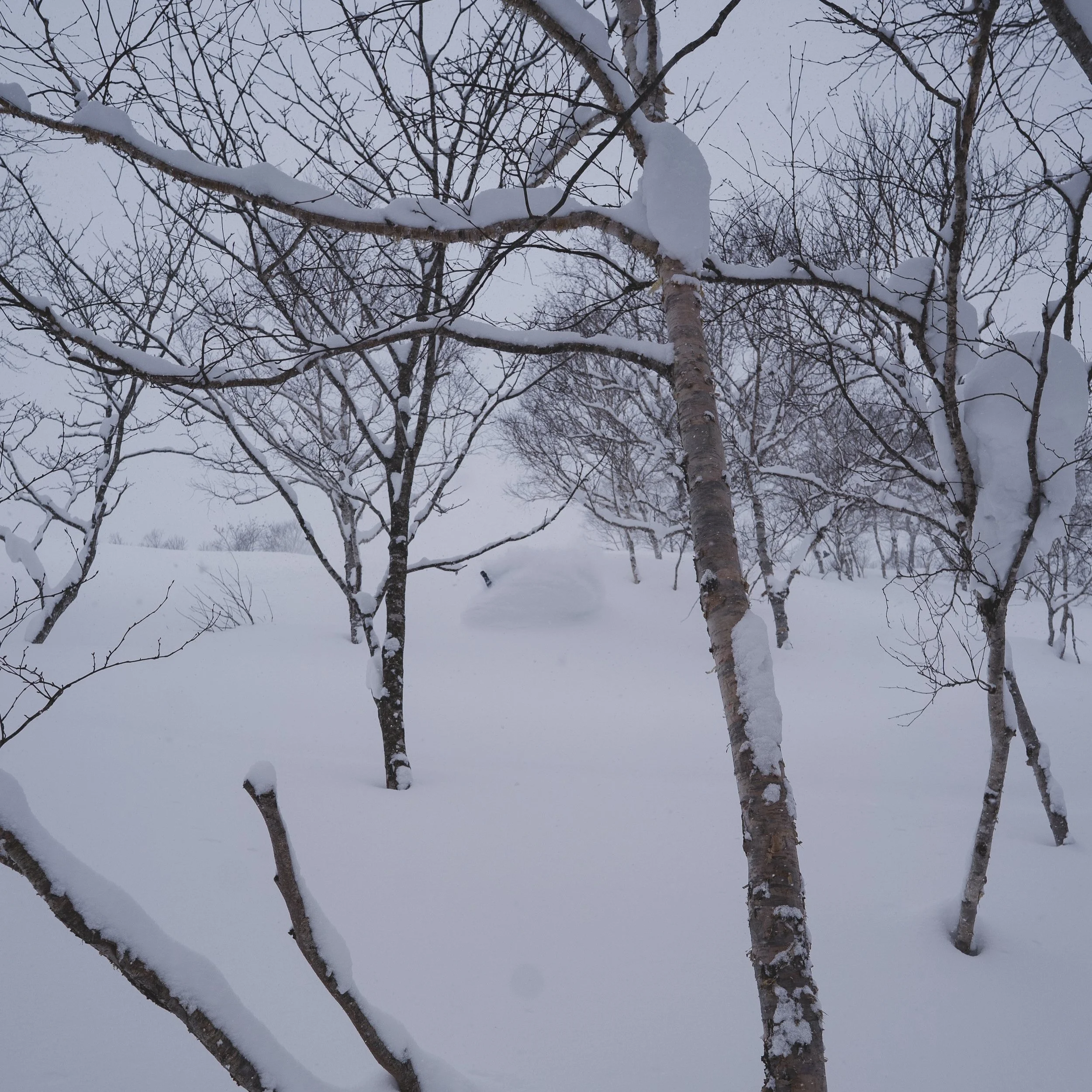 Niseko, Japan