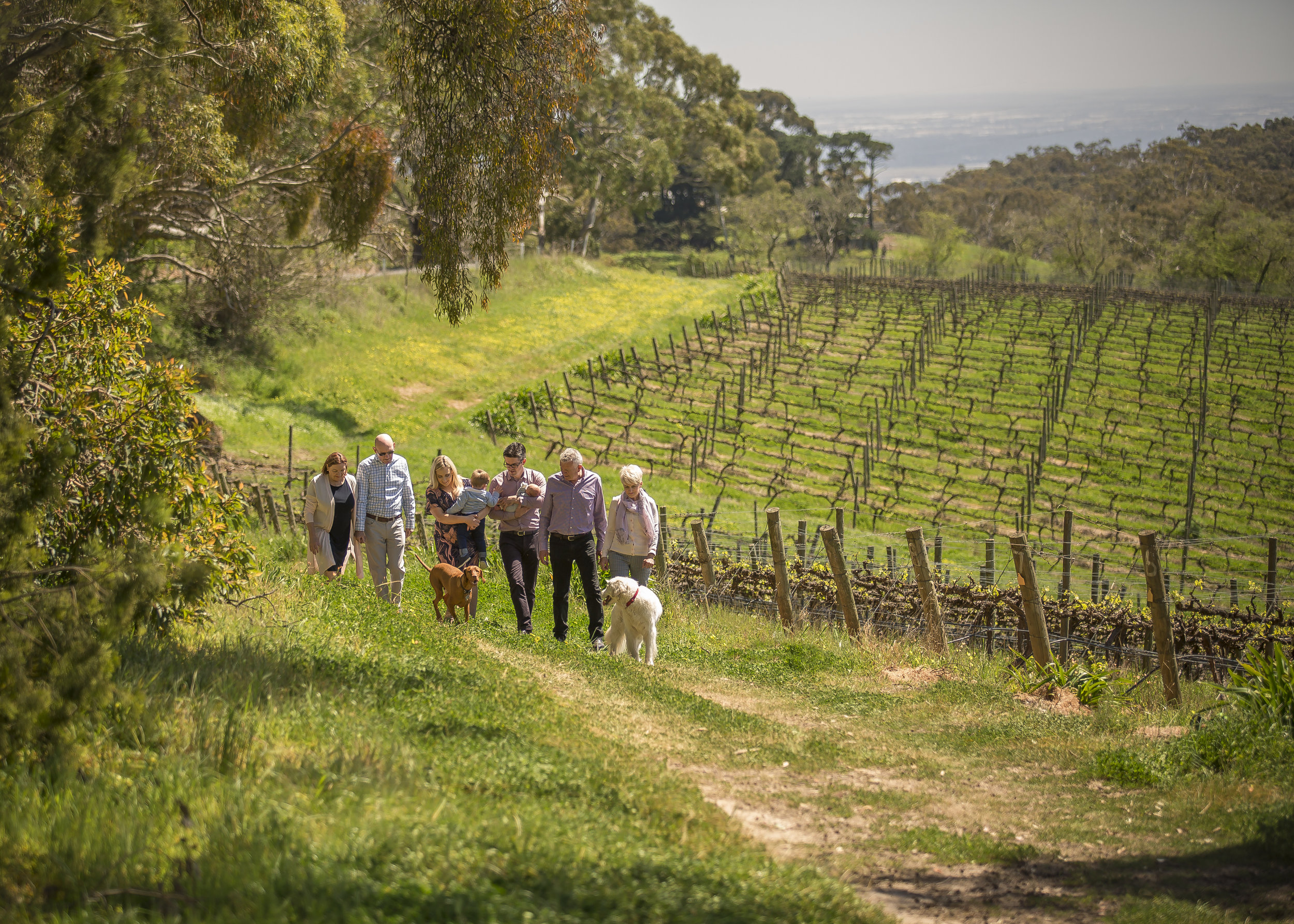 large-family-photography-adelaide