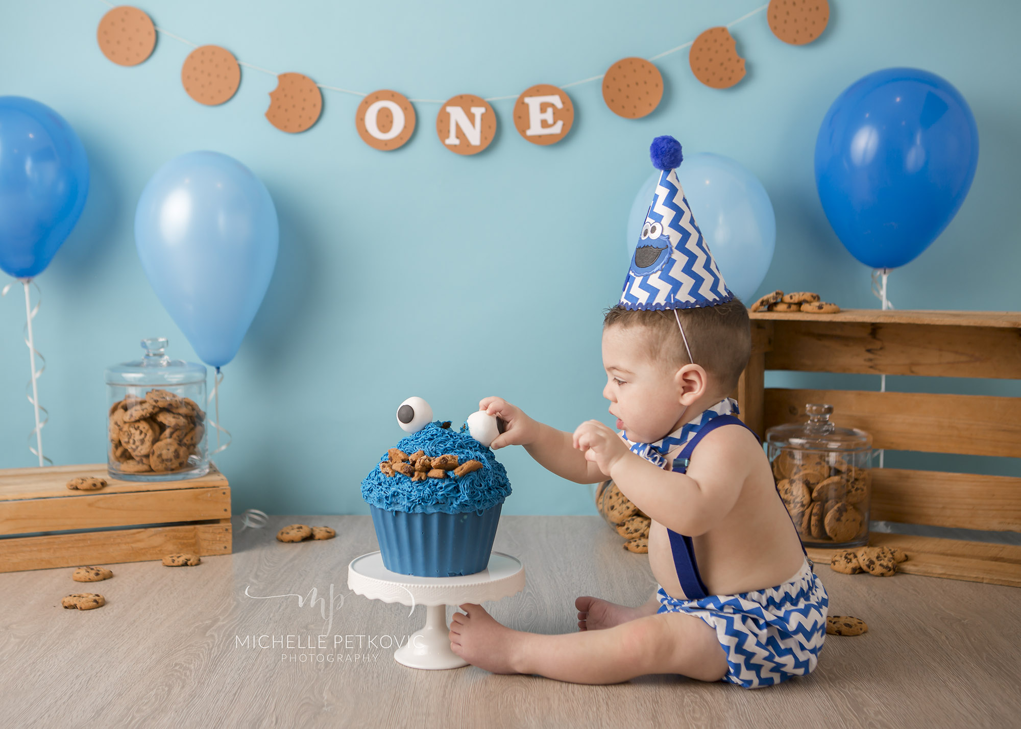  baby studio photos adelaide paralowie cake smash first birthday, cookie monster 