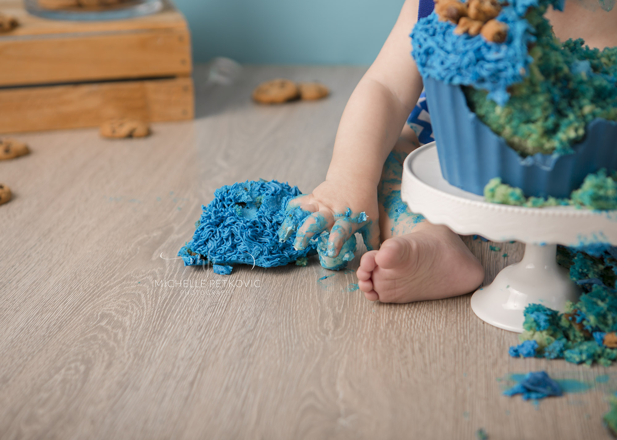 Cookie Monster Cake Smash Michelle Petkovic Photography