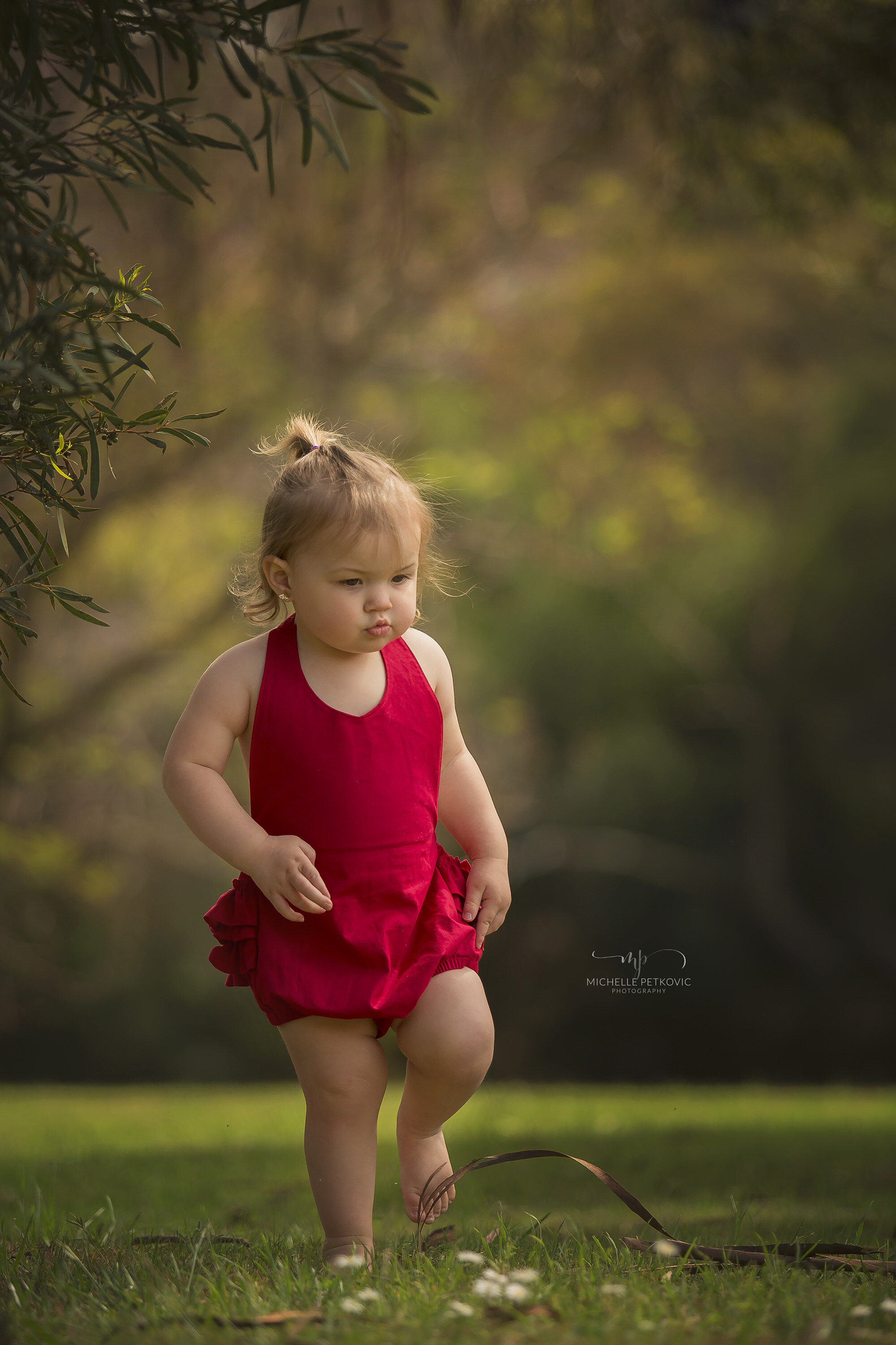 Adelaide-toddler-photographer-8-11.jpg