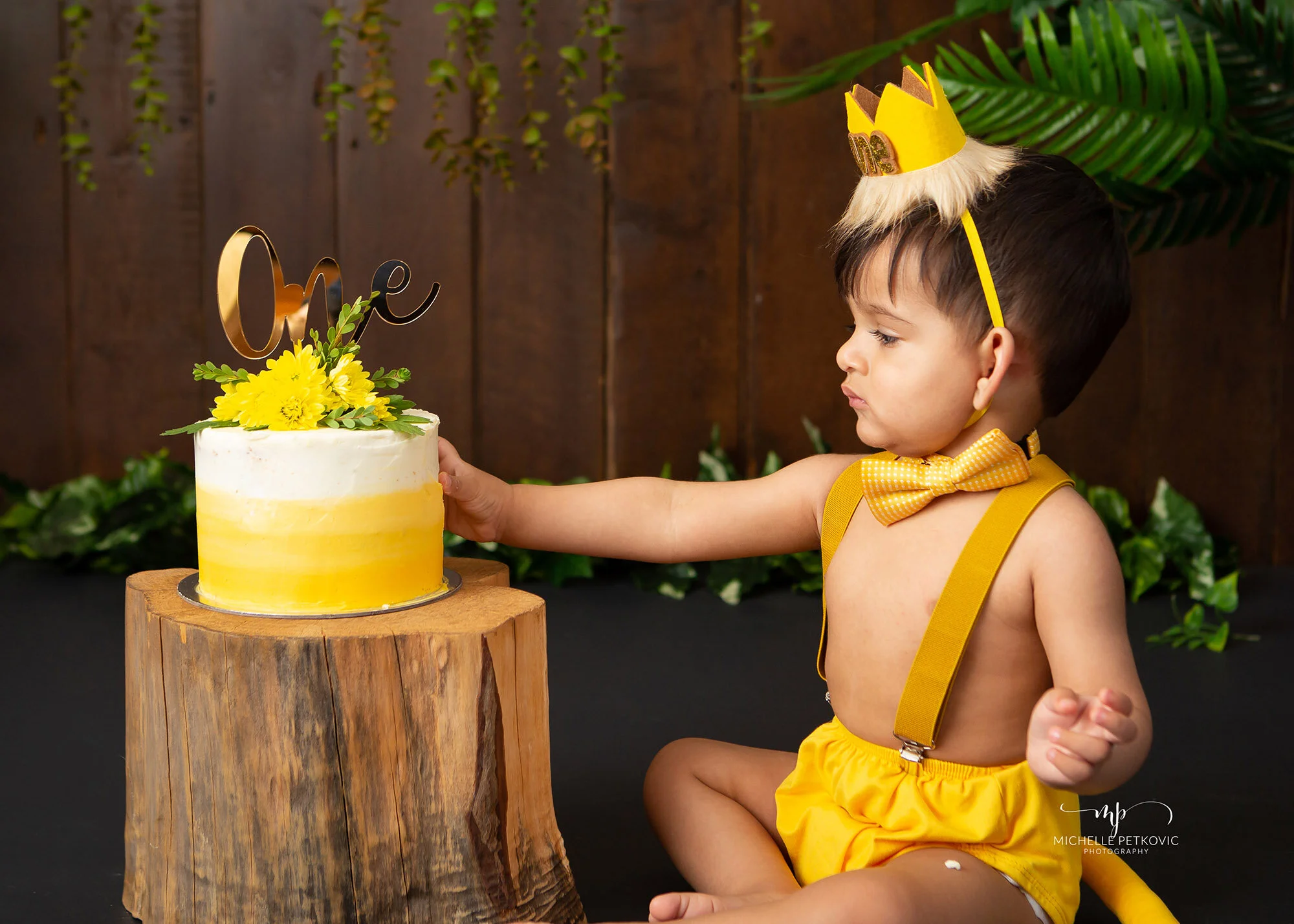 jungle cake smash -02.jpg