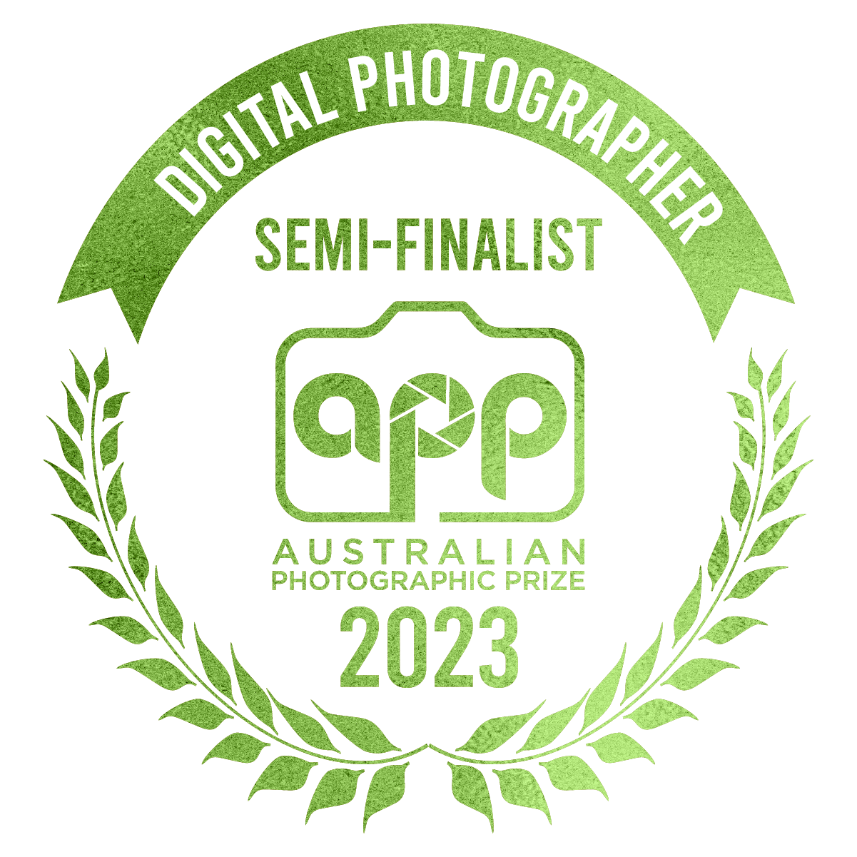 2023-PNG-Badges-DP-SEMI-FINALIST.png