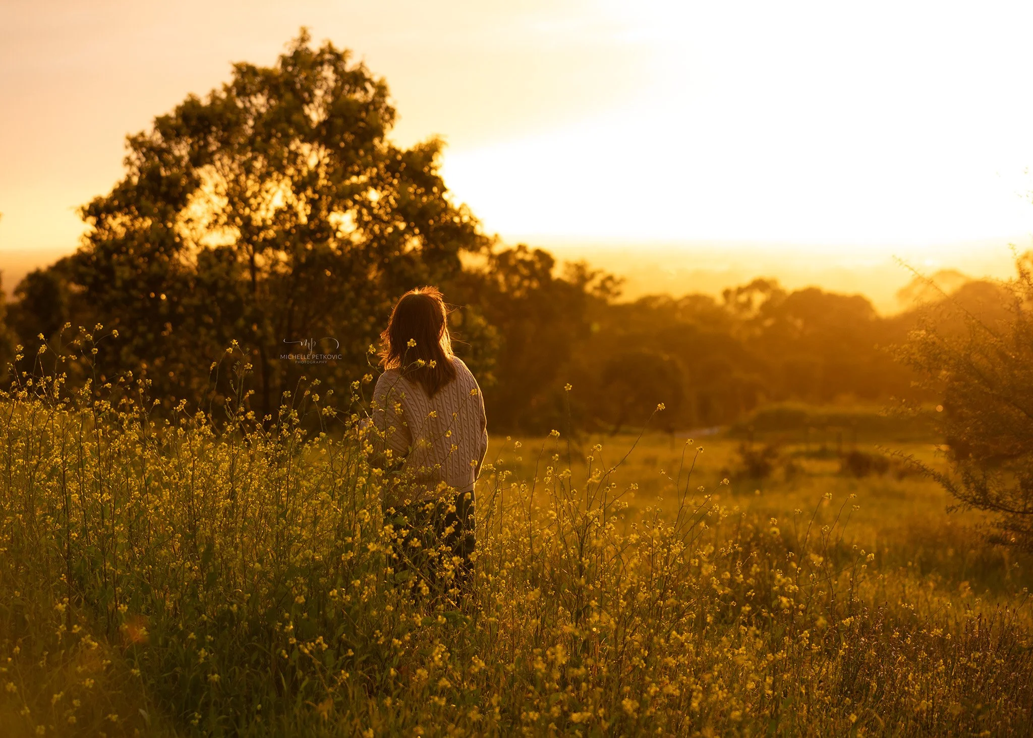 Golden Light &amp; Family Laughter: A Sunset Session at Cobbler Creek