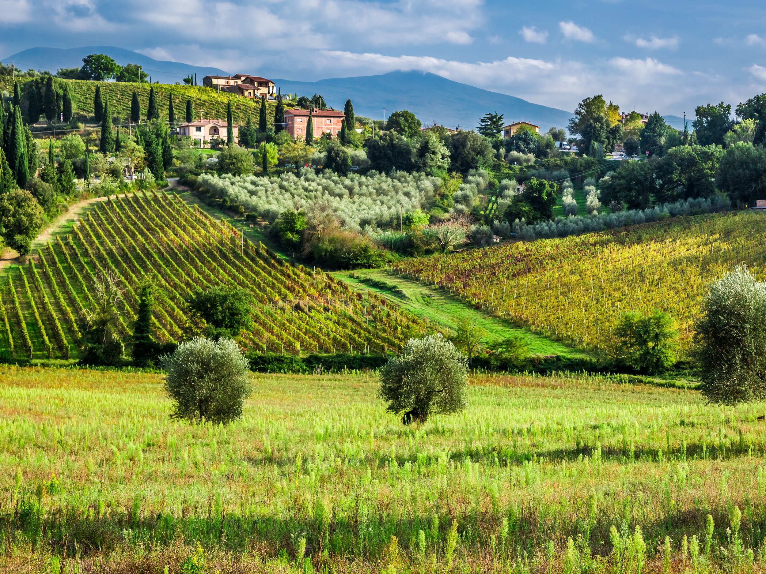 SFD_Wine_Region_Tuscany_CR_iStock_2520x1890.jpg