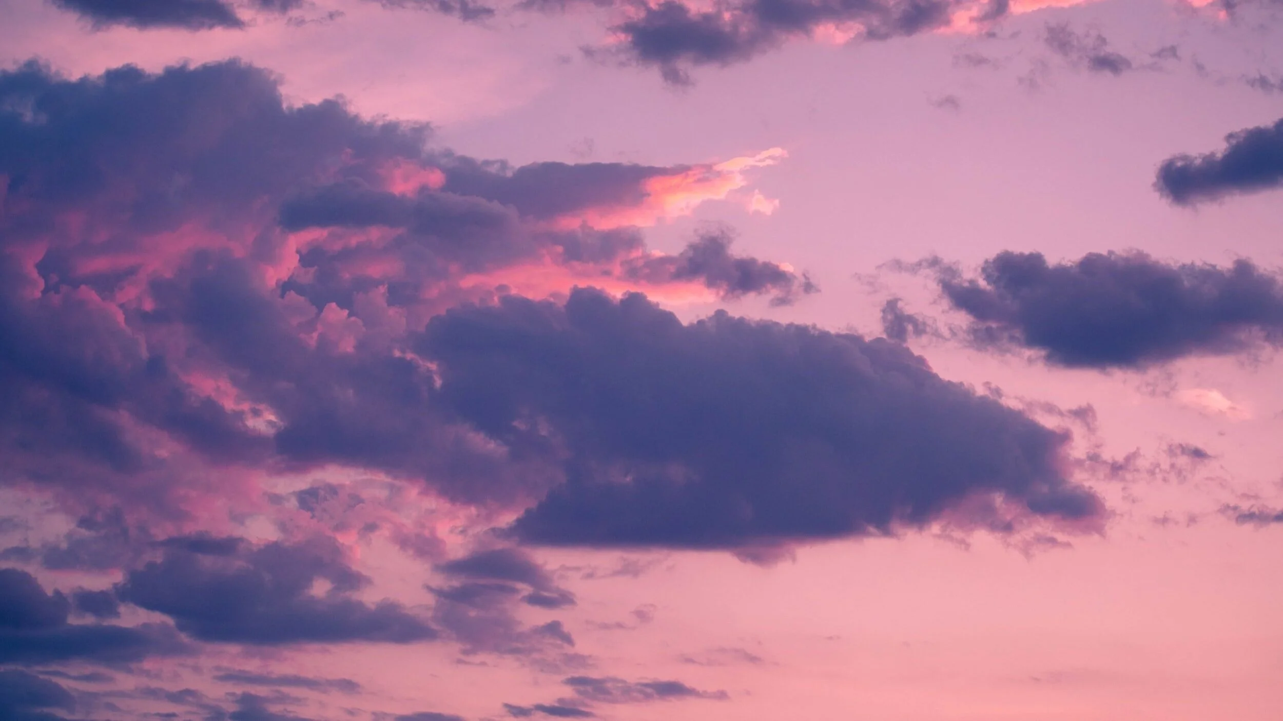 unsplash-image-Qi8CvonsYnM.jpg